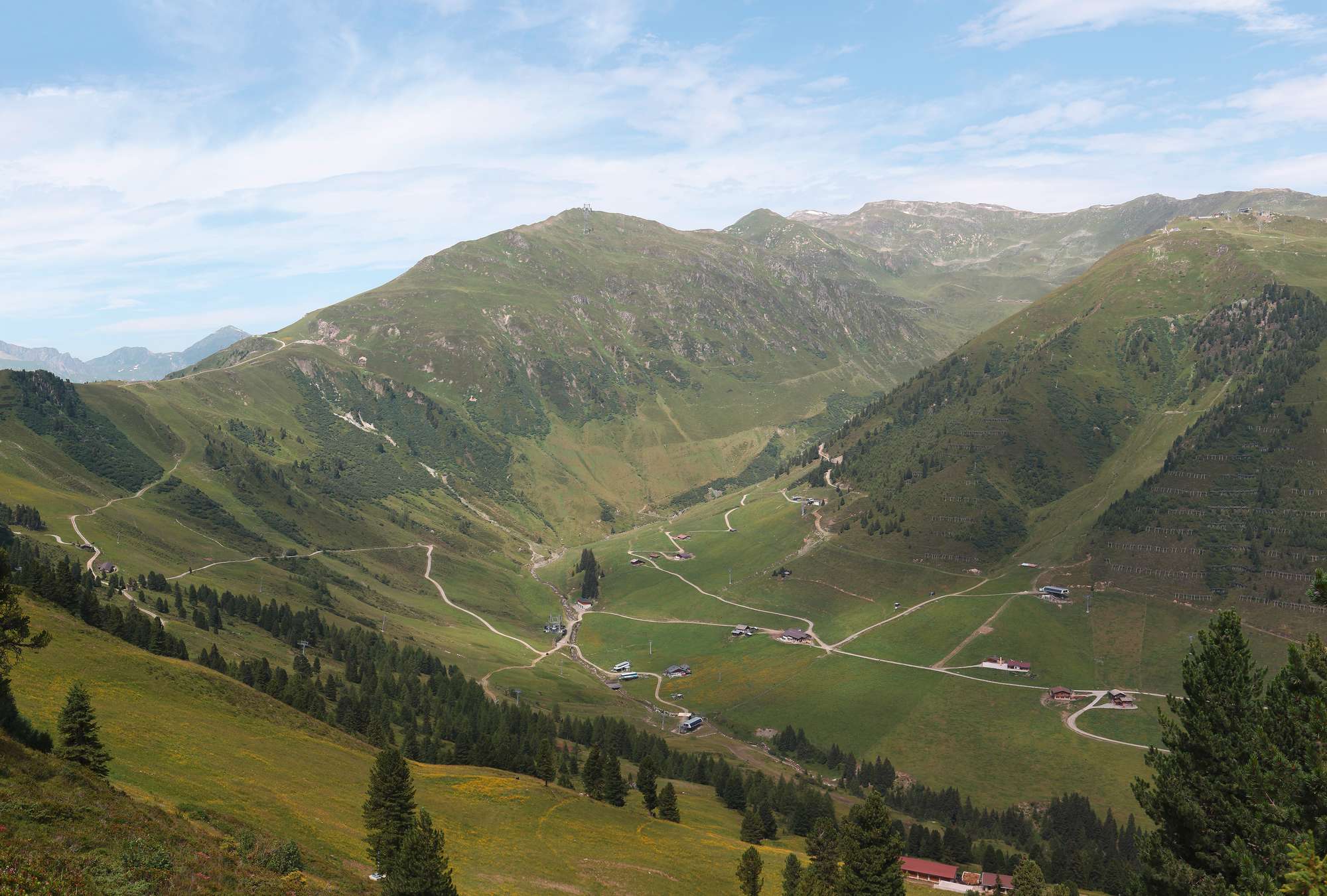             Muurschildering valleizicht op groene weiden in de Alpen
        