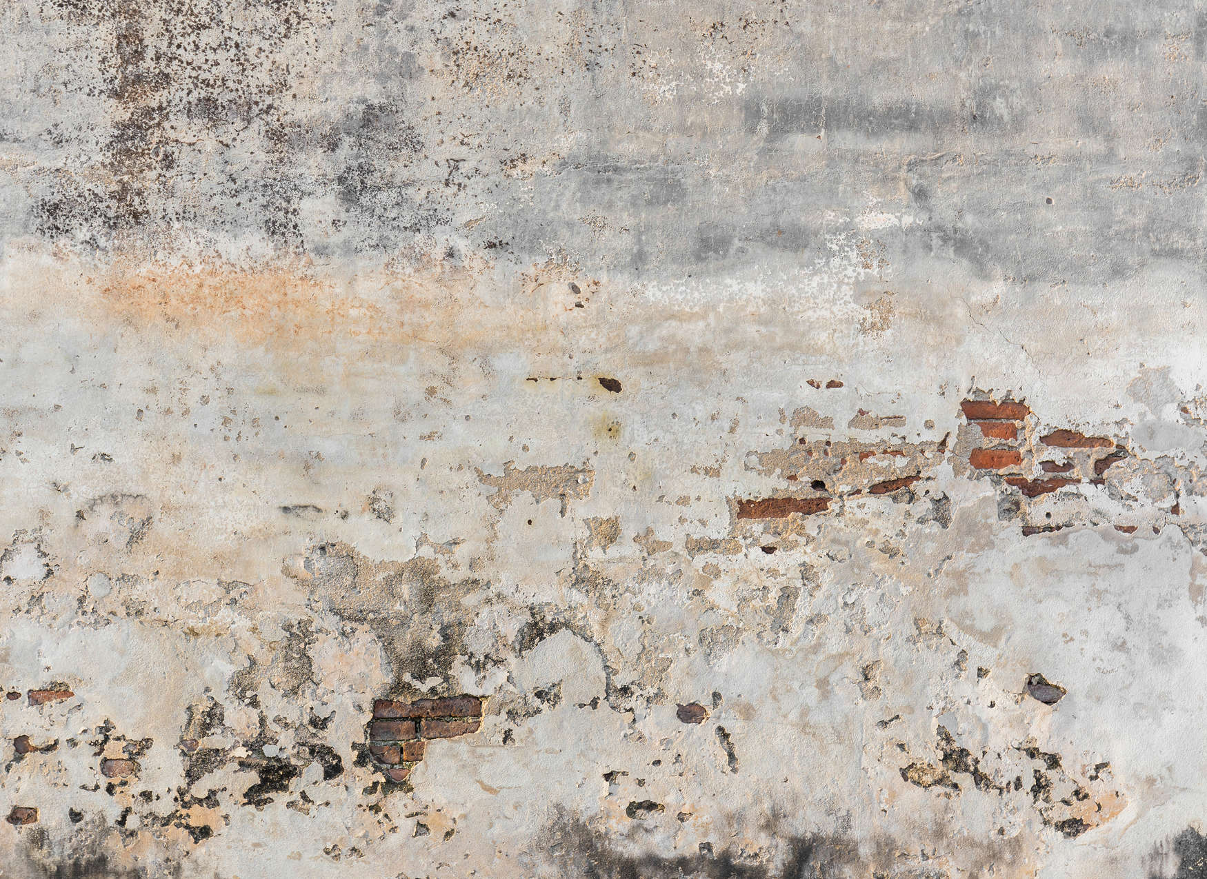             Papier peint panoramique vieux mur de briques & crépi - gris, marron
        