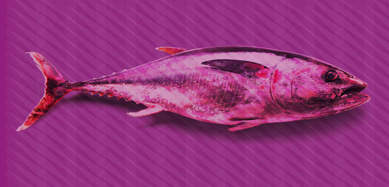             Pop Art stijl tonijn behang - paars, roze, rood - mat glad vlies
        