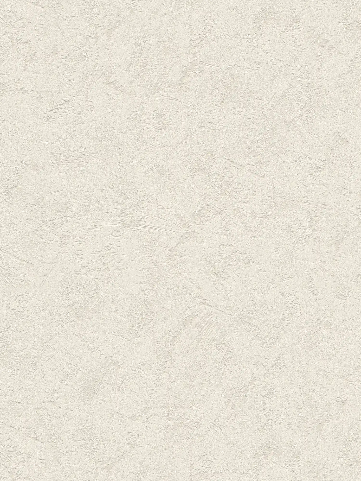 Classic plaster look wallpaper light grey with trowel plaster pattern
