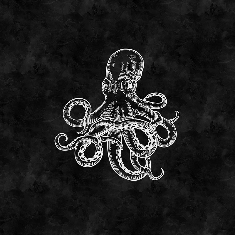         Black and white photo wallpaper octopus & blackboard look
    