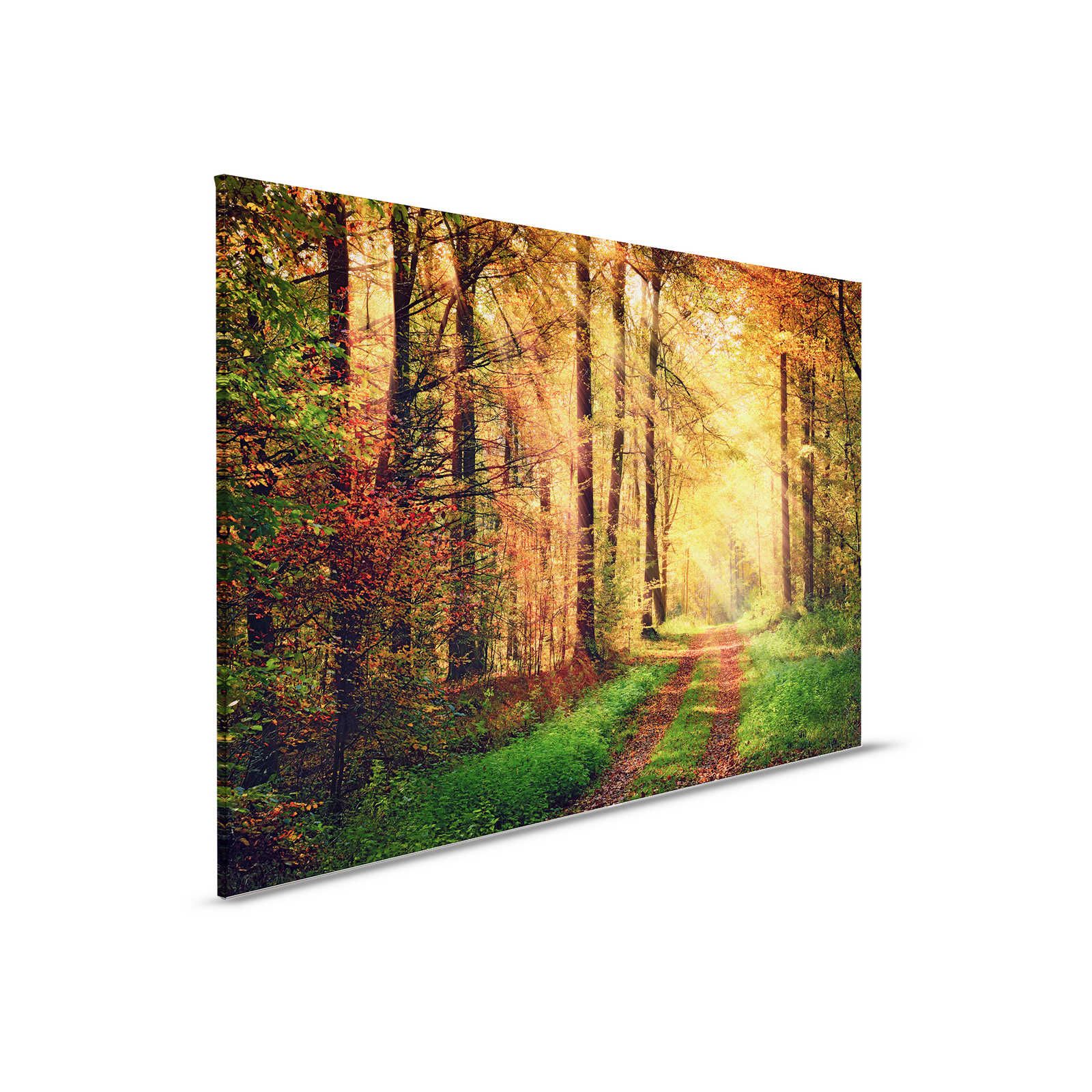         Canvas painting Forest path on autumn day with sun - 0,90 m x 0,60 m
    