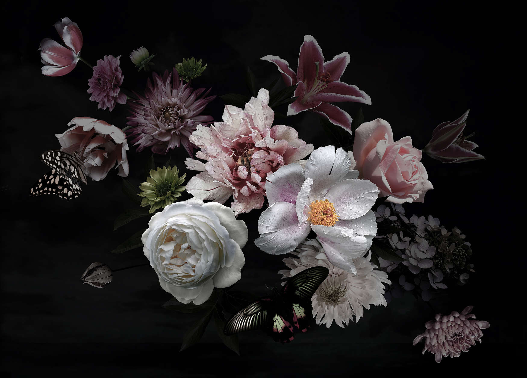             Papier peint fleurs diverses avec papillon - noir, rose, blanc
        