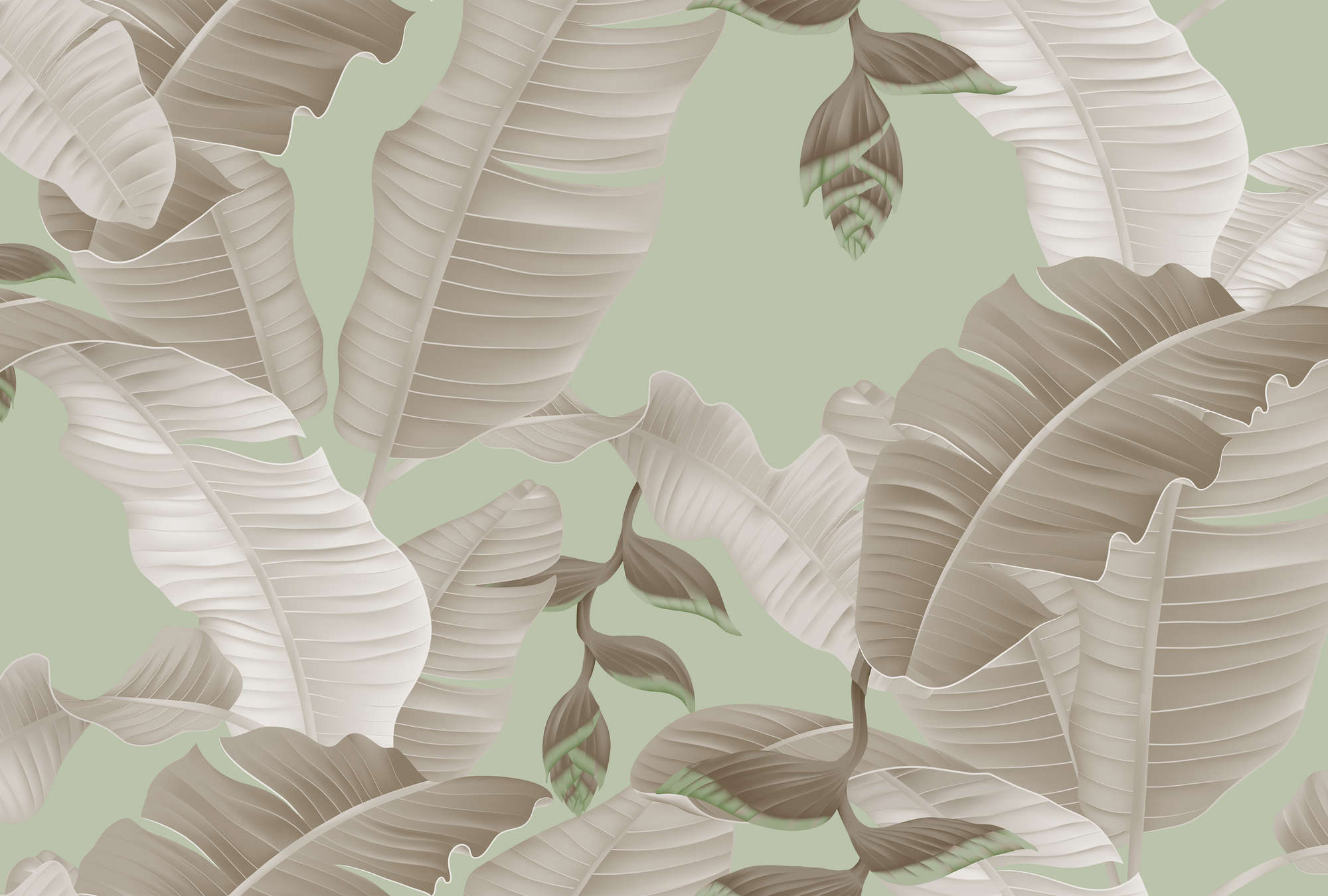             Palm leaves graphic style mural - green, grey
        