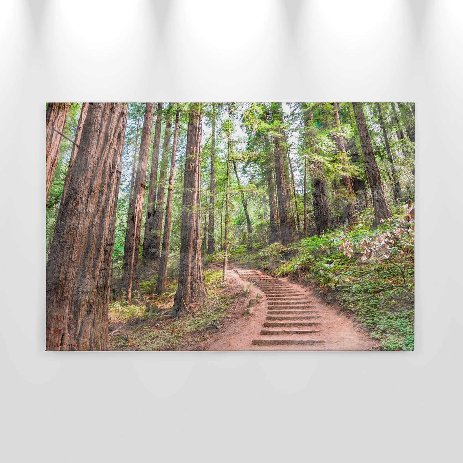             Canvas with wooden stairs through the forest | brown, green, blue - 0.90 m x 0.60 m
        