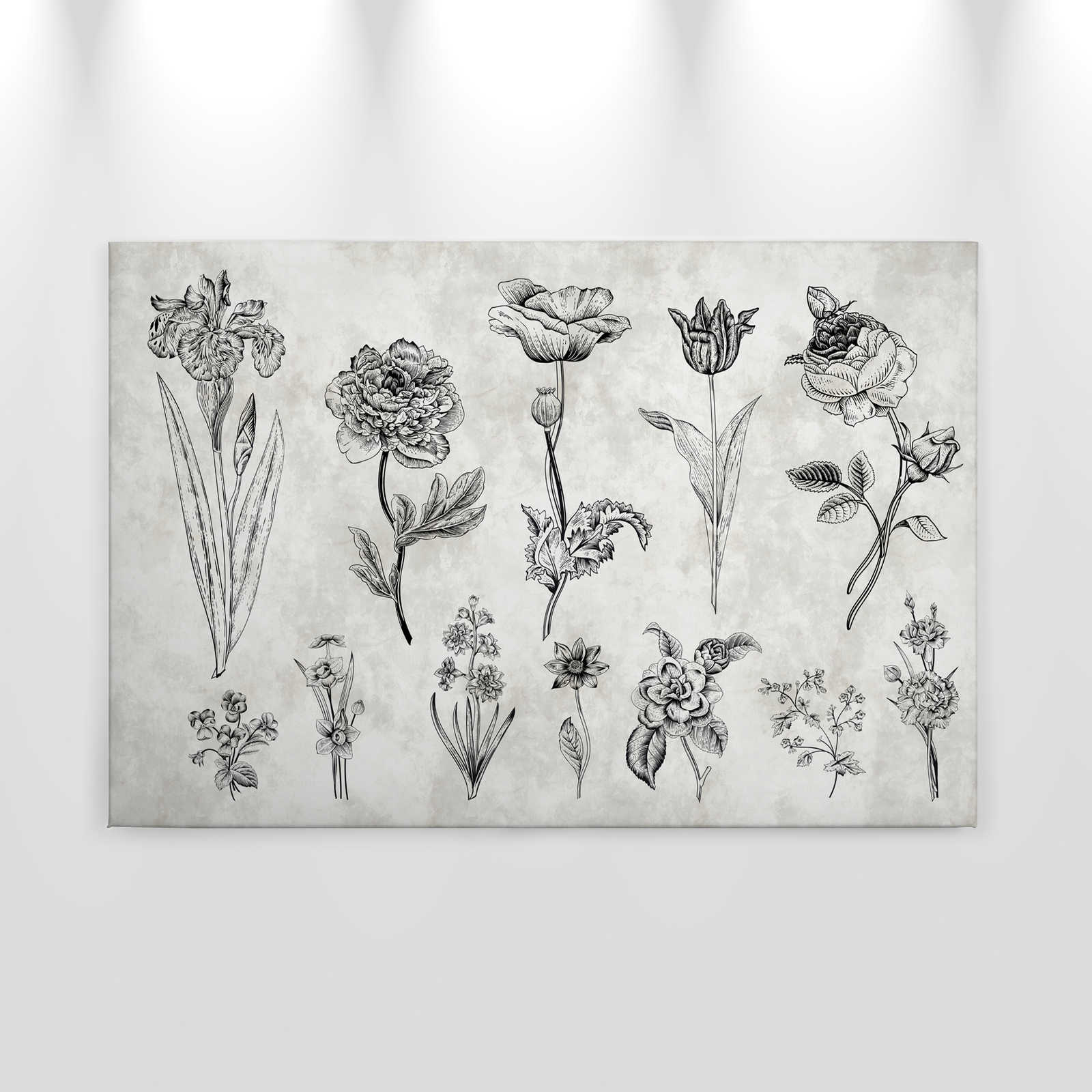             Lienzo Flores en estilo dibujo - 0,90 m x 0,60 m
        