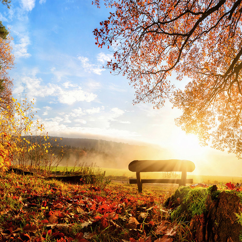 Photo wallpaper bench in the forest on an autumn morning - mother-of-pearl smooth non-woven
