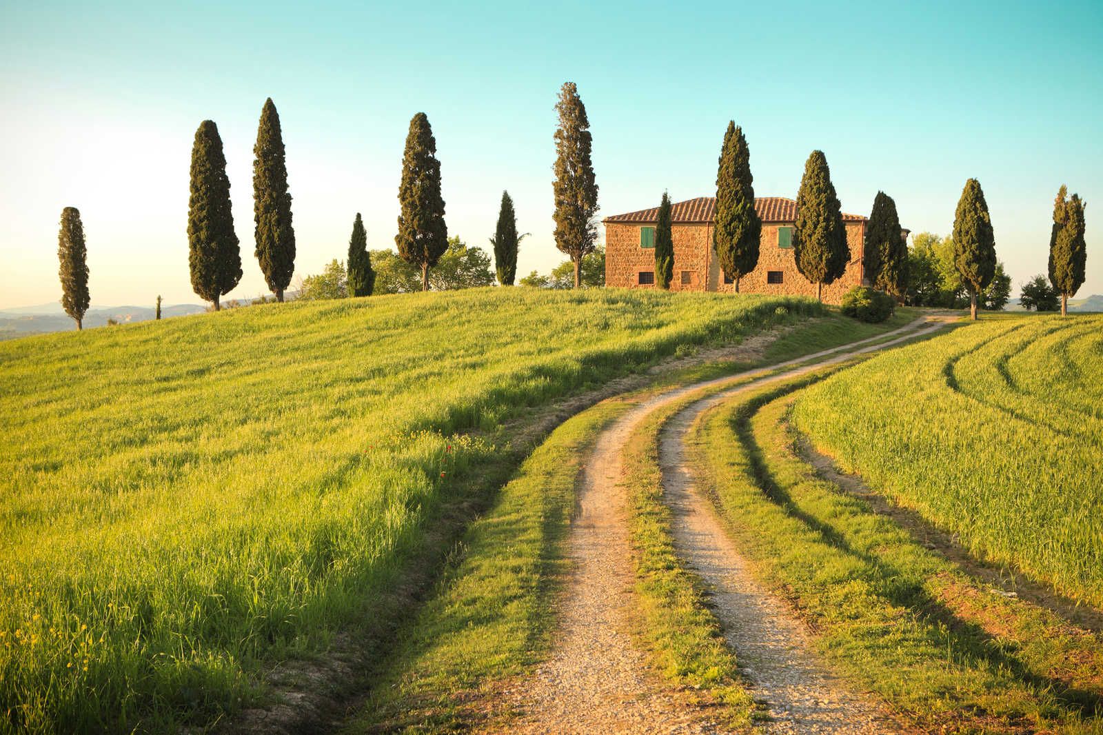             Lienzo Naturaleza Toscana con Villa y Cipreses - 0,90 m x 0,60 m
        