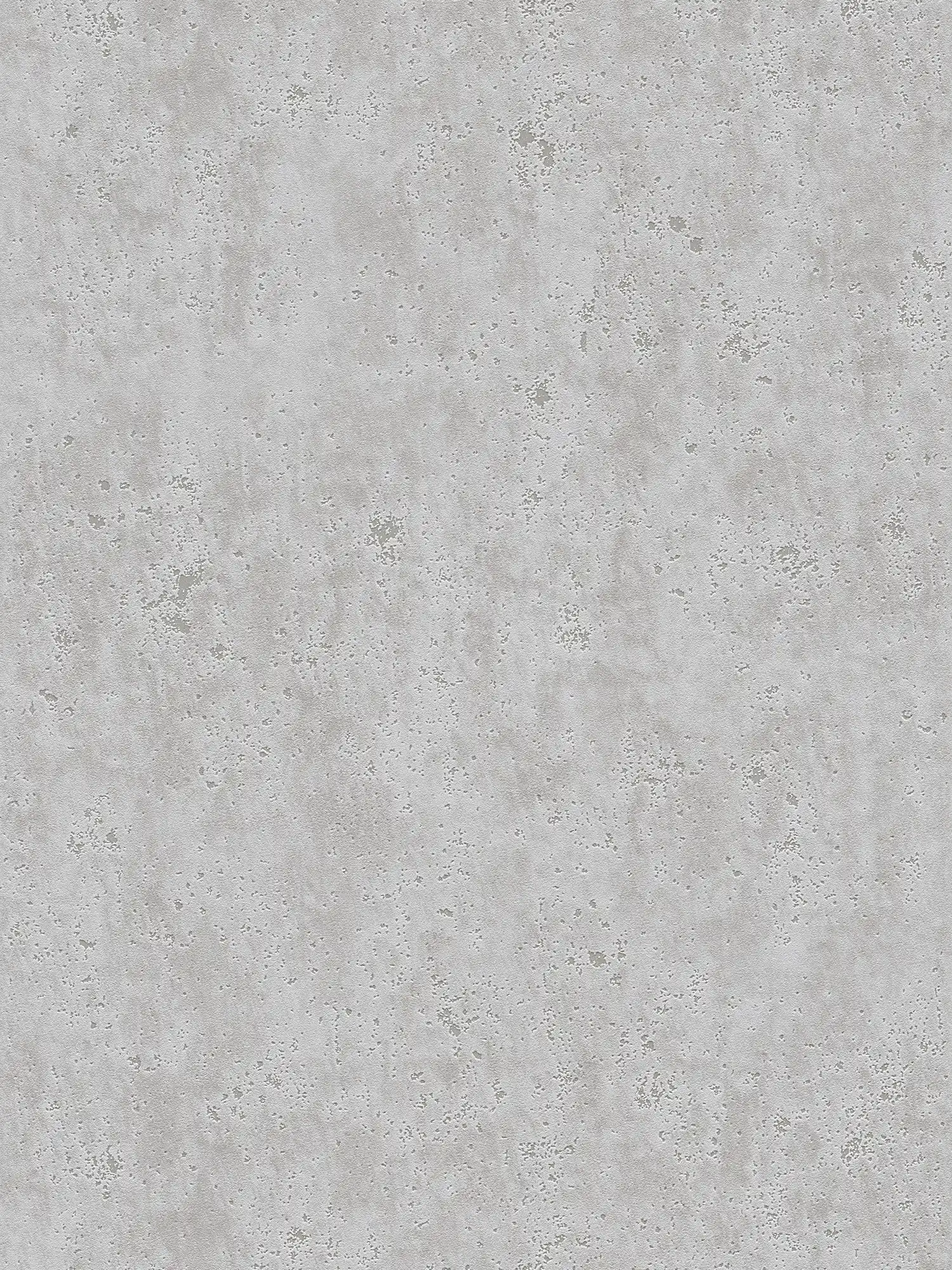 Papier peint aspect plâtre avec structure de surface rugueuse - gris
