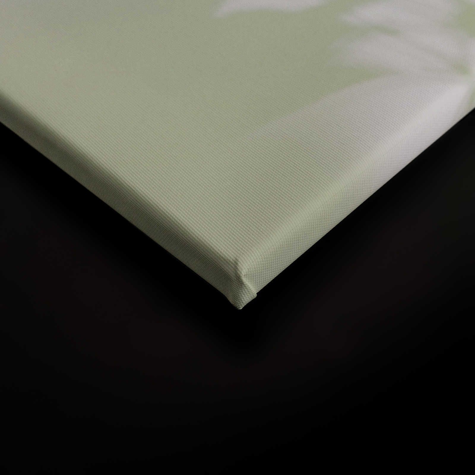             Camera d'ombra 3 - Pittura su tela naturale verde e bianca, disegno sbiadito - 0,90 m x 0,60 m
        