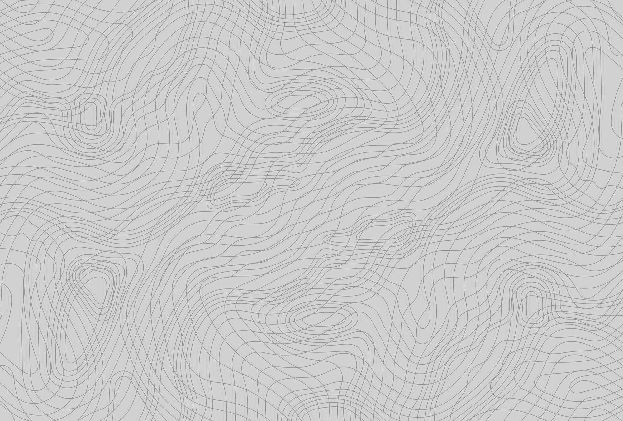             Papel pintado de líneas minimalistas y orgánicas - Gris, Negro
        