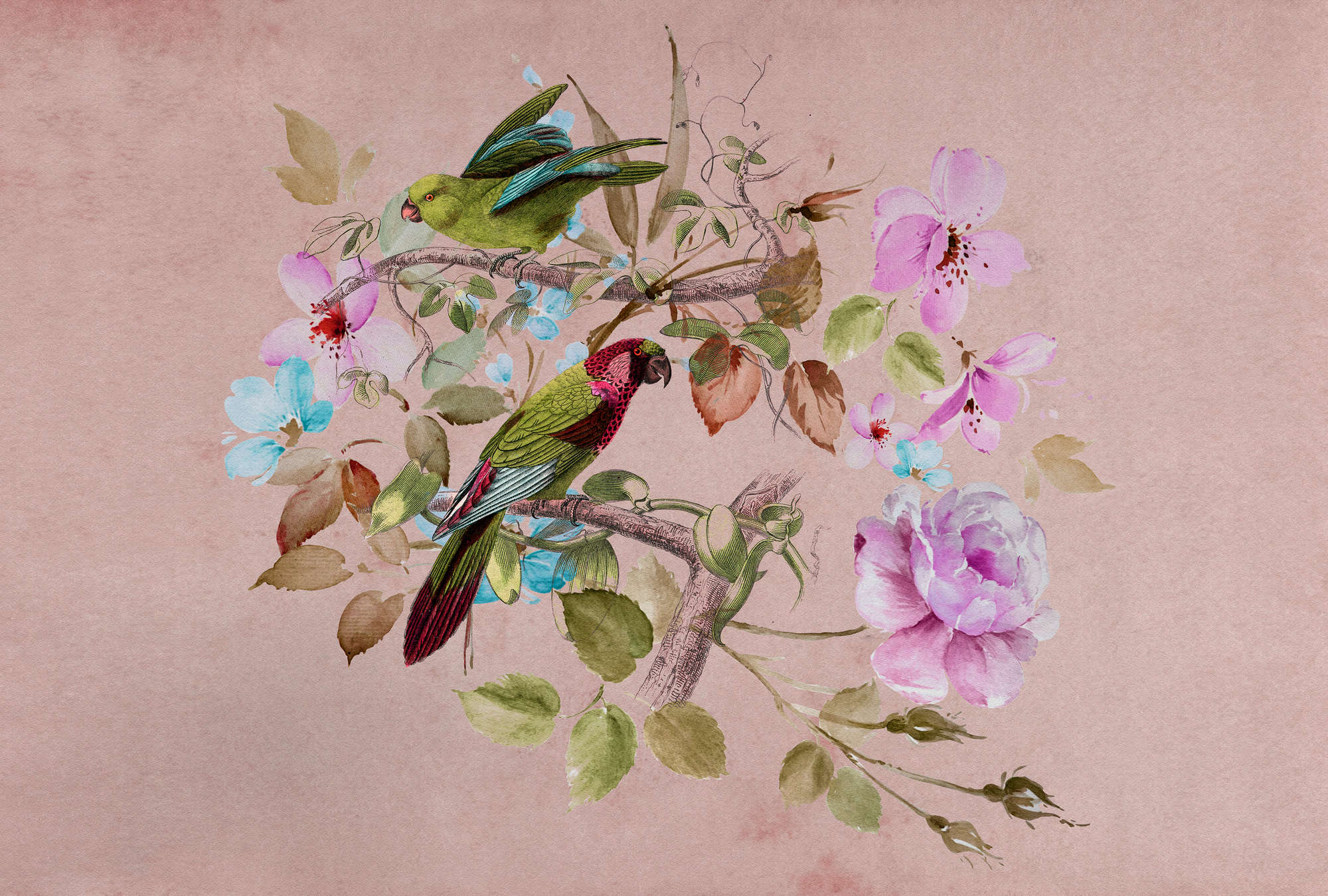             Nido de amor 2 - Papel pintado vintage Flores rosas de acuarela y pájaros de colores
        