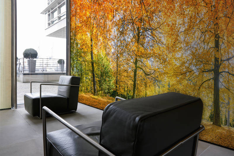             Muurschildering Bos in Herfst met Gele Loofbomen
        