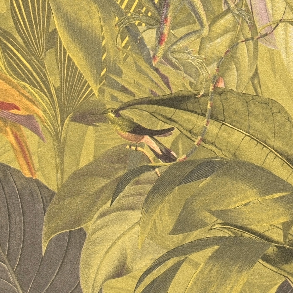             Jungle wallpaper with animals, children's theme - Brown, Green
        
