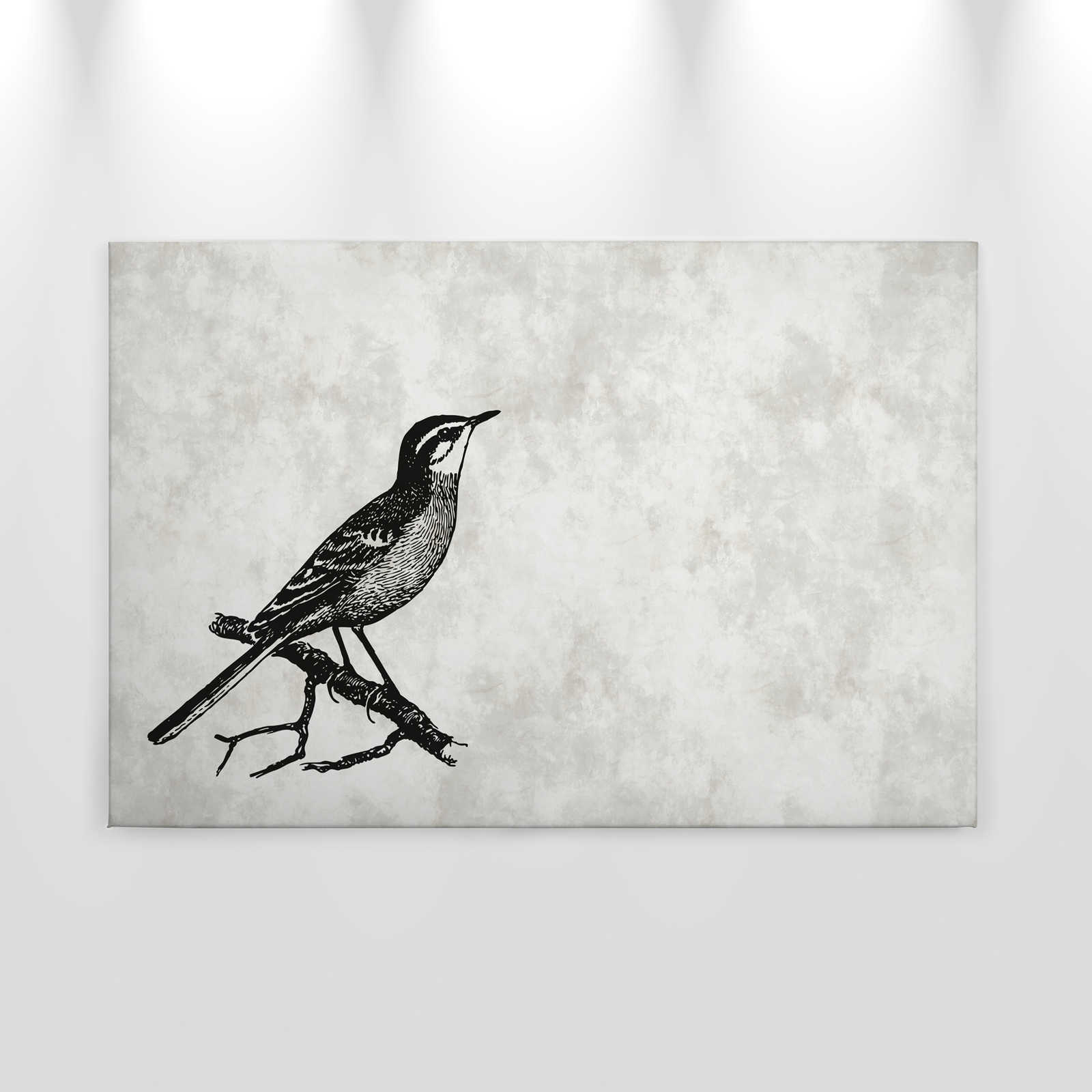             Bird canvas picture in character look with plaster optics - 0.90 m x 0.60 m
        