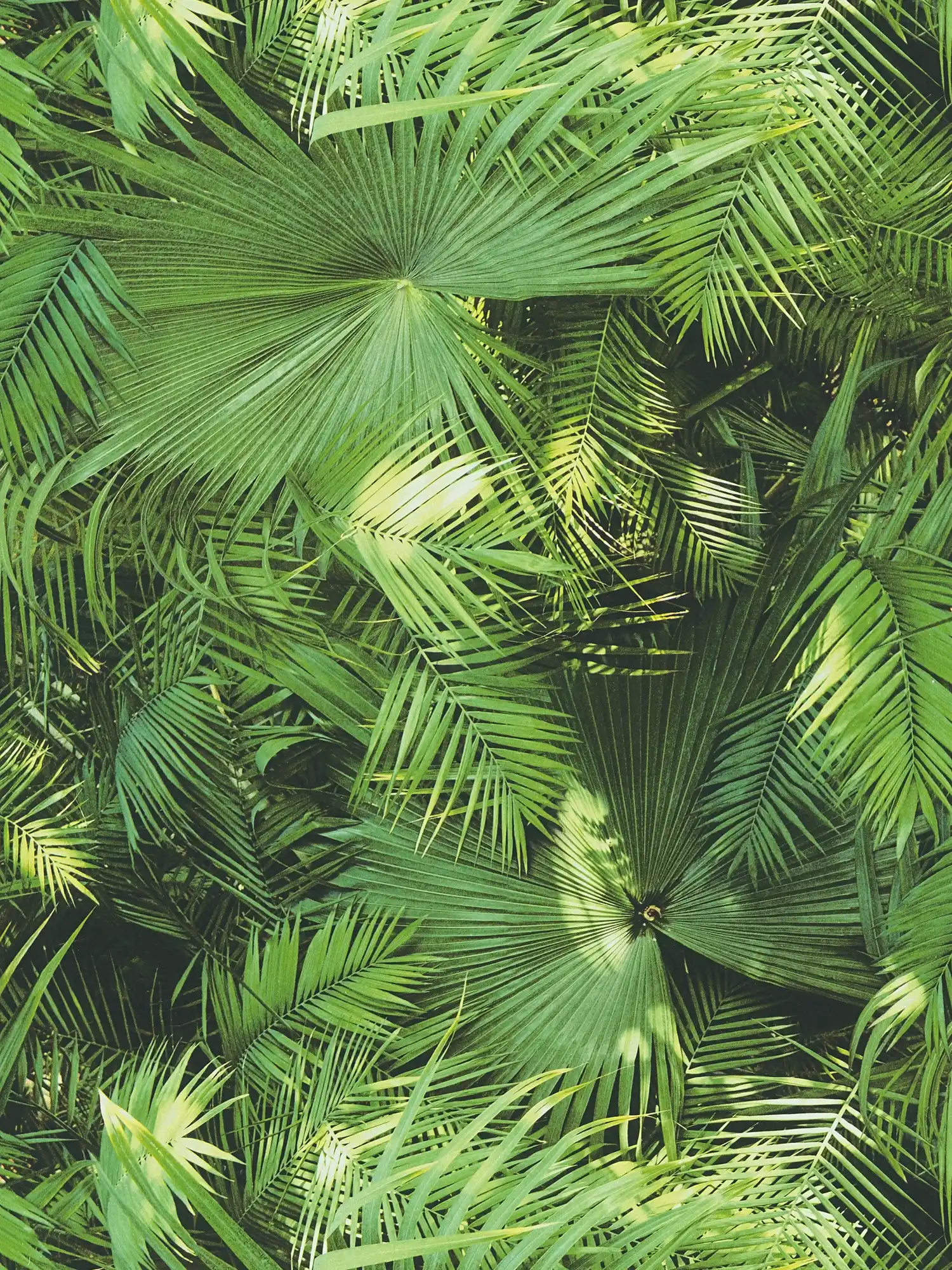 Papier peint autocollant | Feuilles de la jungle motif jungle verte
