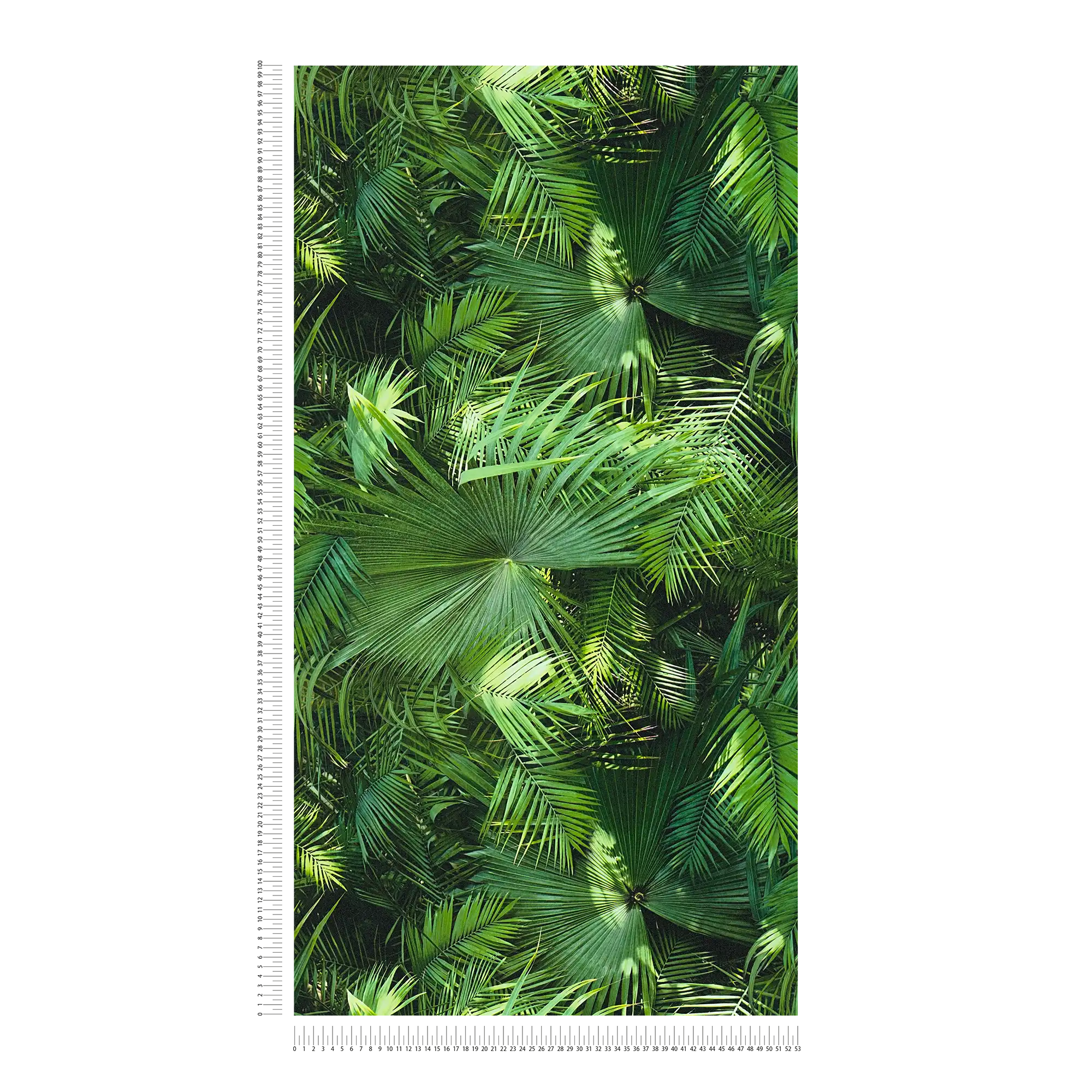            Patrón de hojas con aspecto selvático, óptica de helecho - óptica de helecho
        