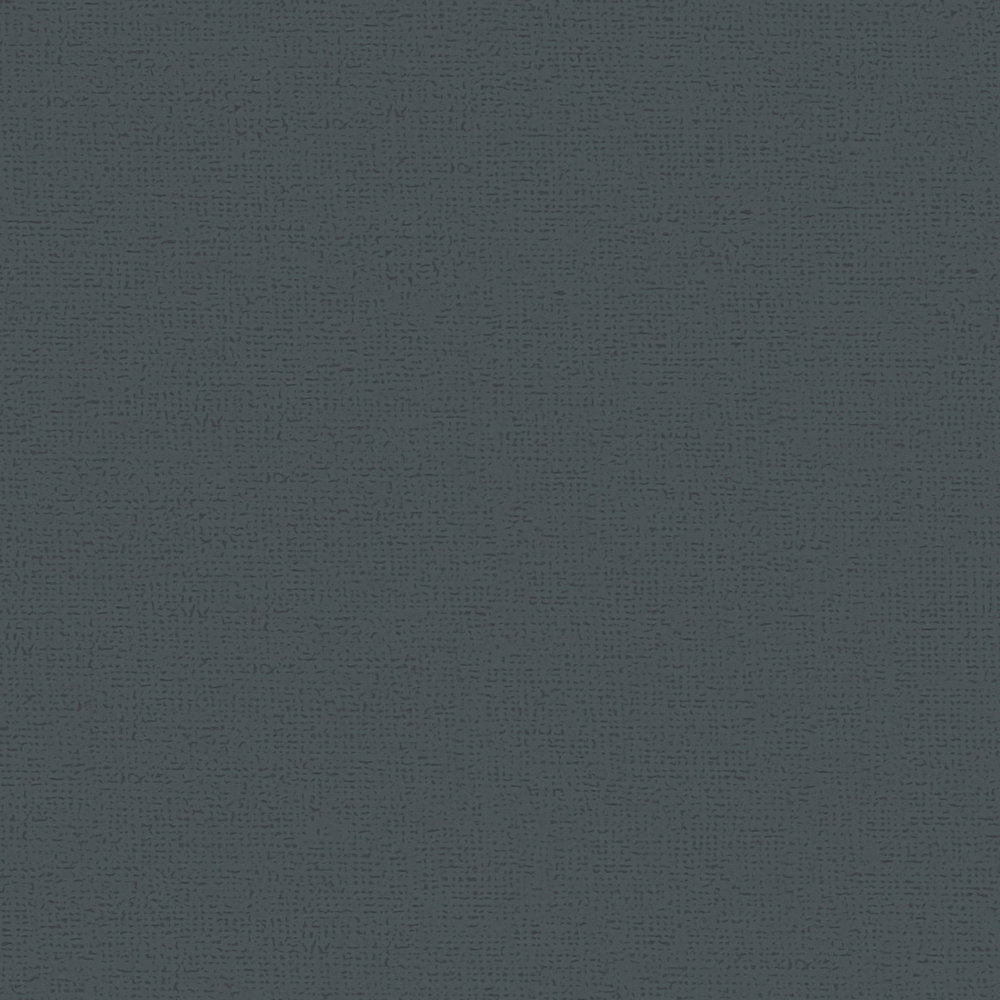             Zwart vliesbehang monochroom, mat van MICHALSKY
        