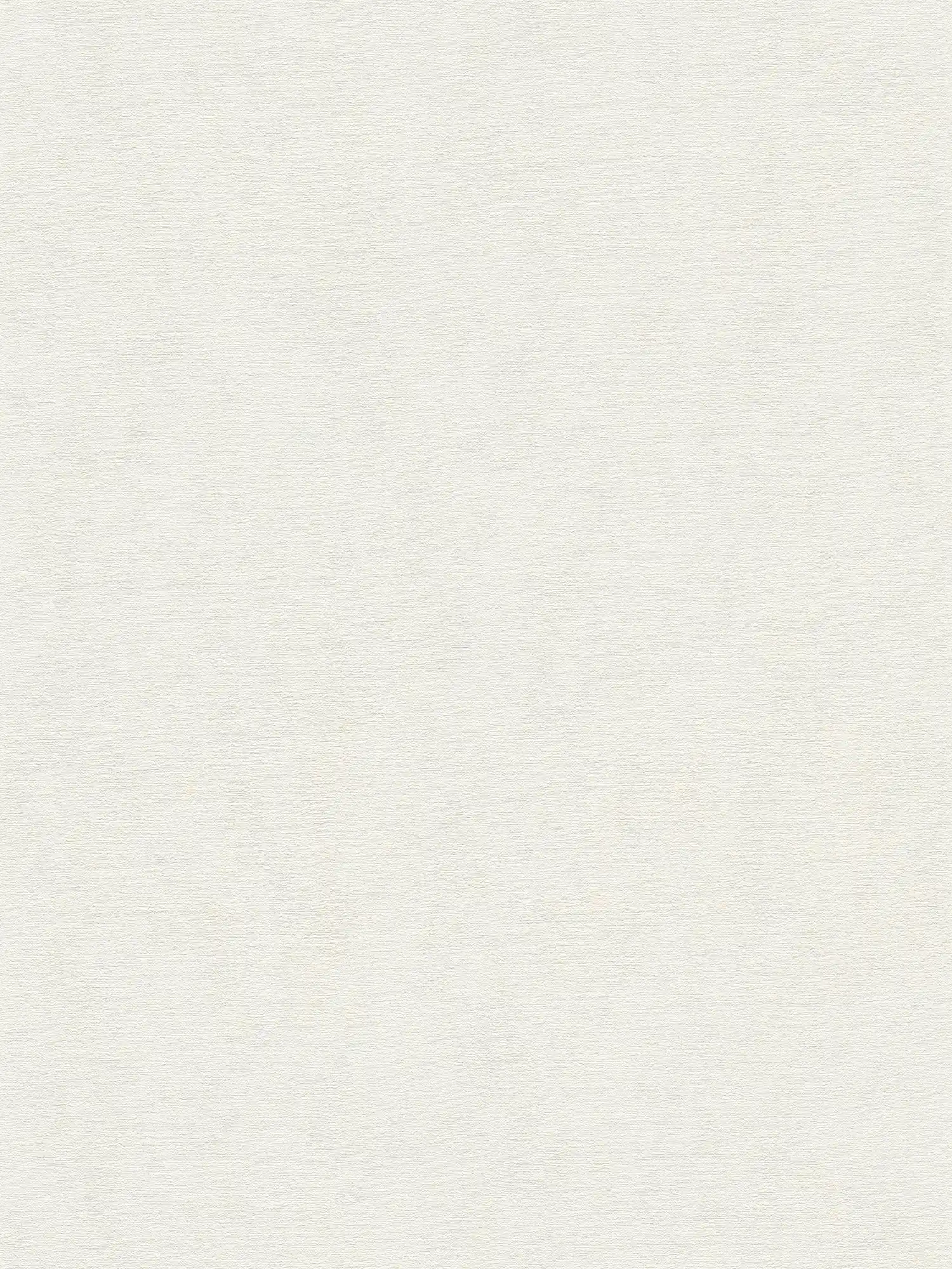 Non-woven wallpaper in a plain colour - white
