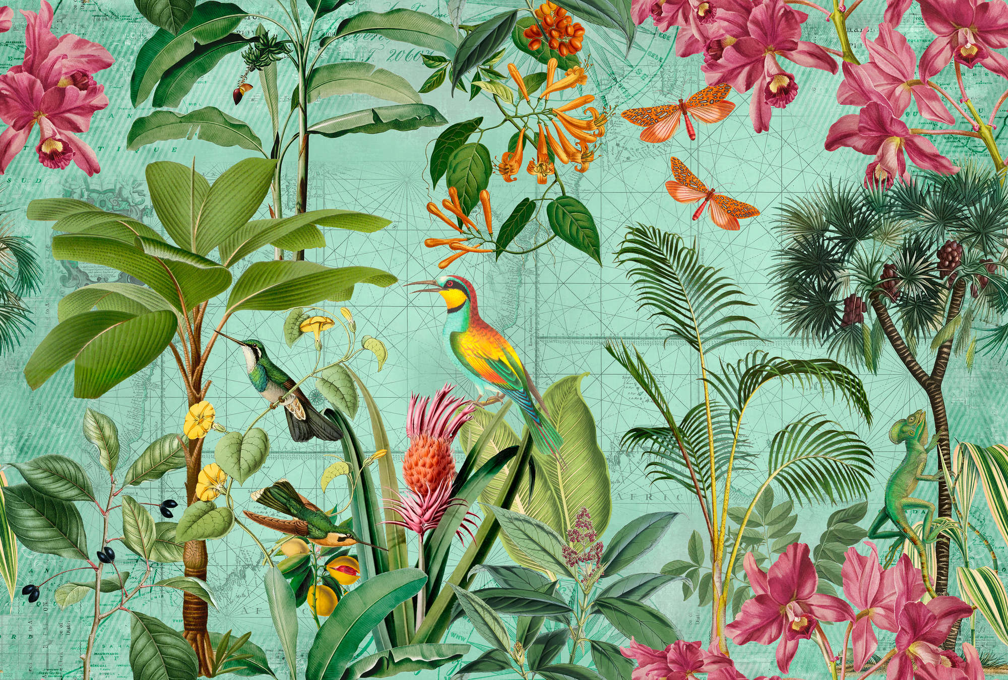             Papier peint panoramique jungle coloré avec arbres, fleurs & animaux
        