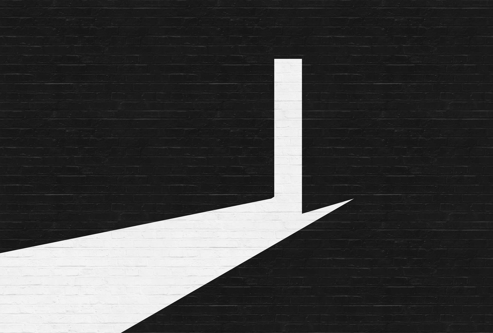             Photo wallpaper brick, black and white graphic design - White, Black
        