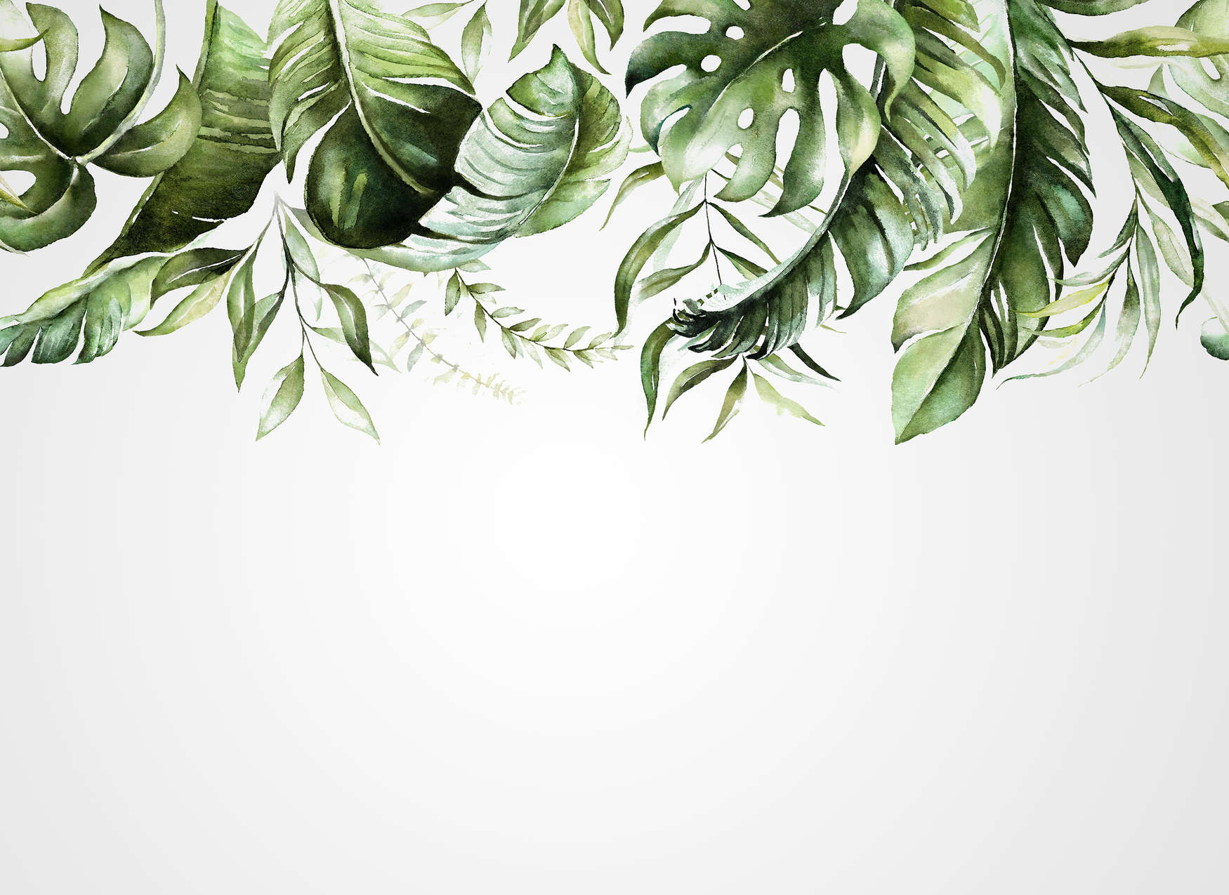             Papier peint avec des rinceaux de feuilles tropicales sur un mur - vert, blanc
        