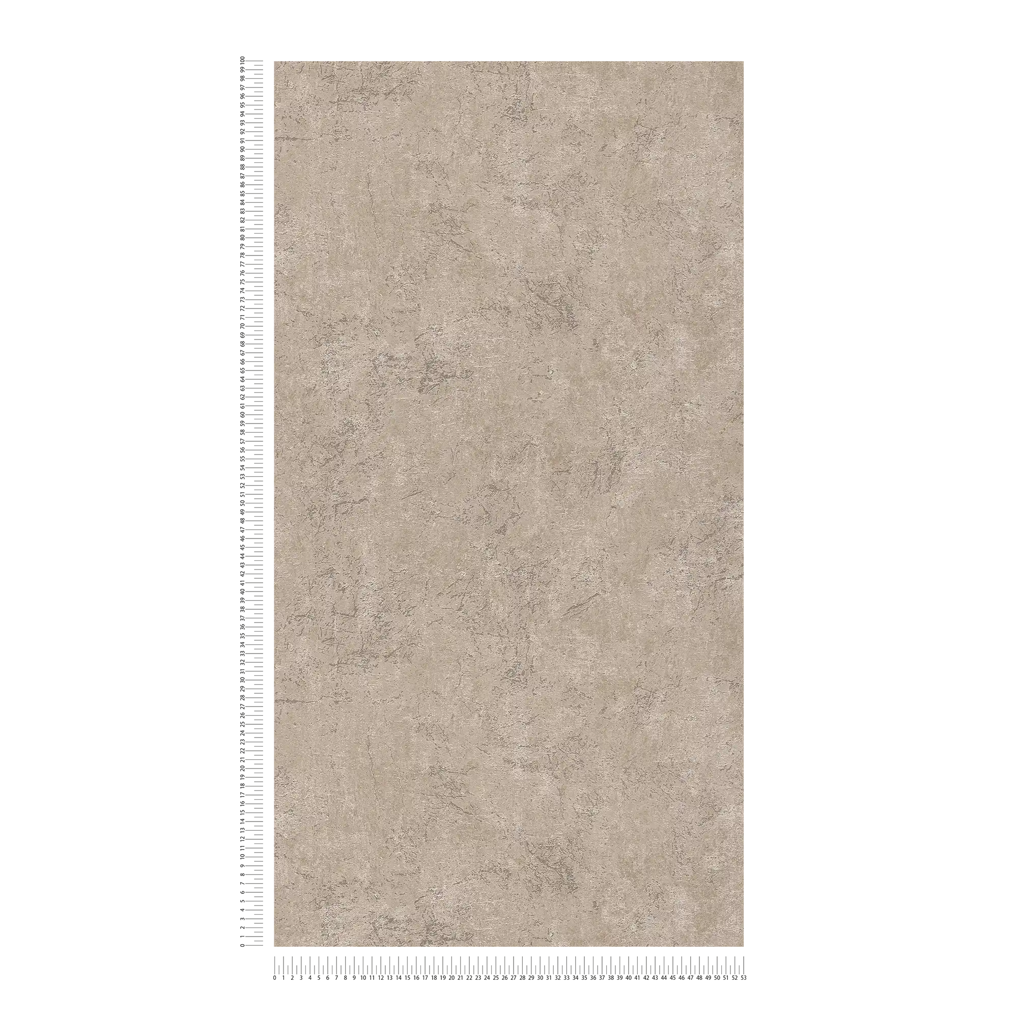             Carta da parati effetto pietra con superficie marmorizzata
        