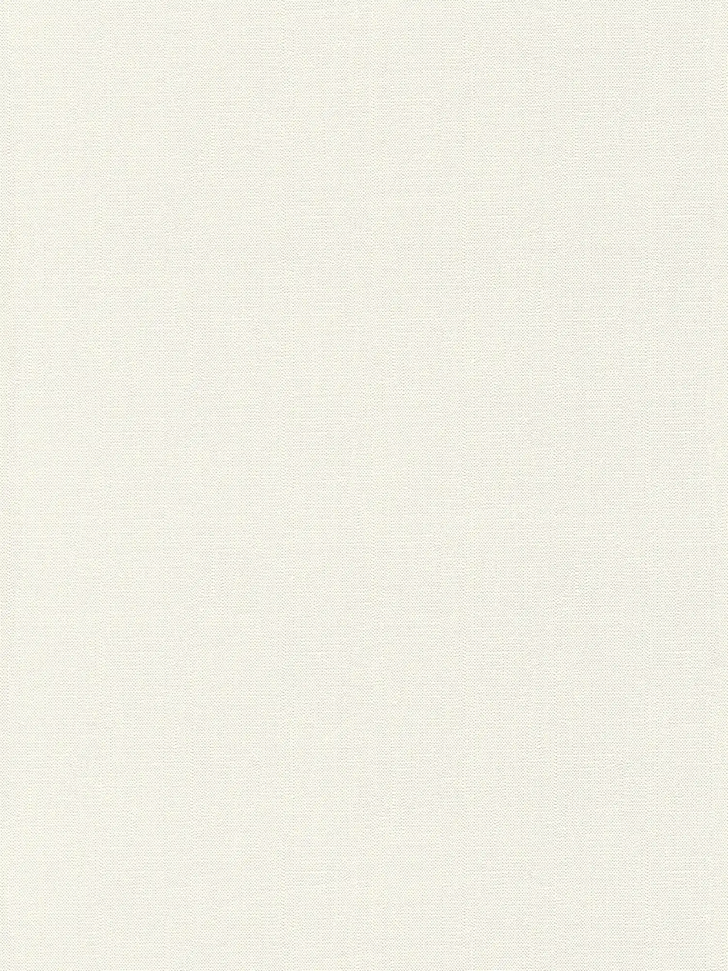 Non-woven wallpaper white monochrome matt with foam structure
