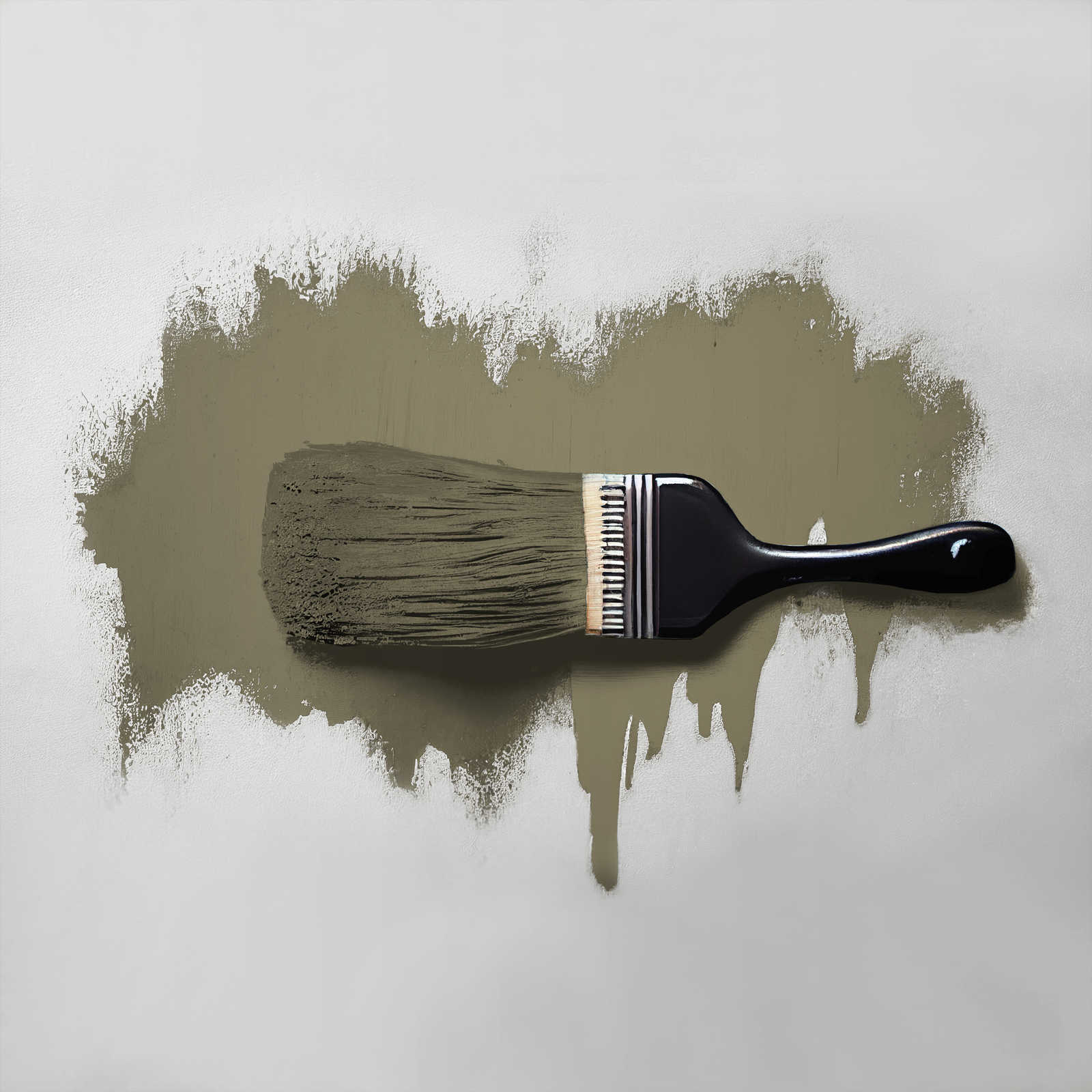             Wall Paint TCK4013 »Ordinary Olive« in intensive olive tone – 2.5 litre
        