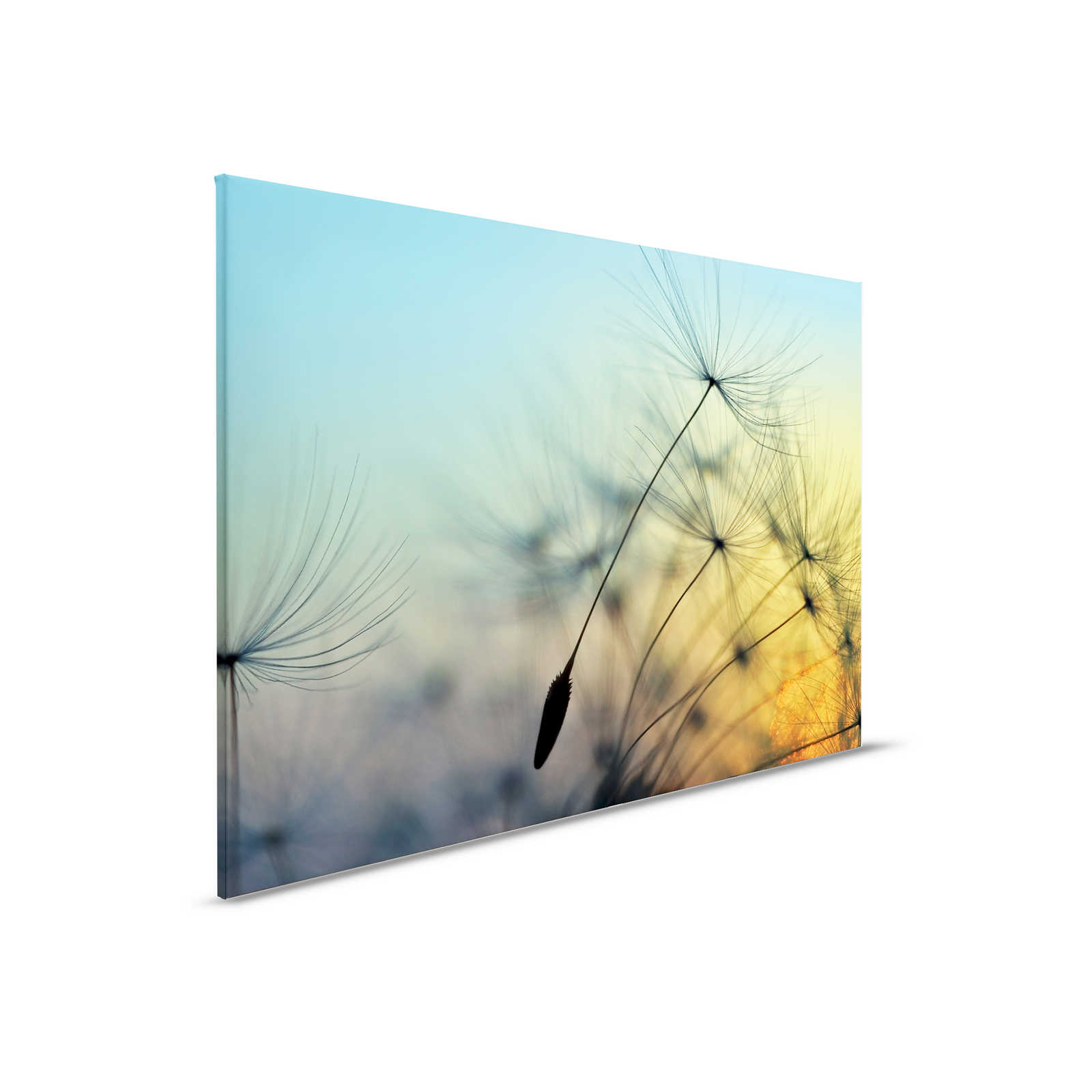         Canvas Dandelion & Sunset - 0.90 m x 0.60 m
    