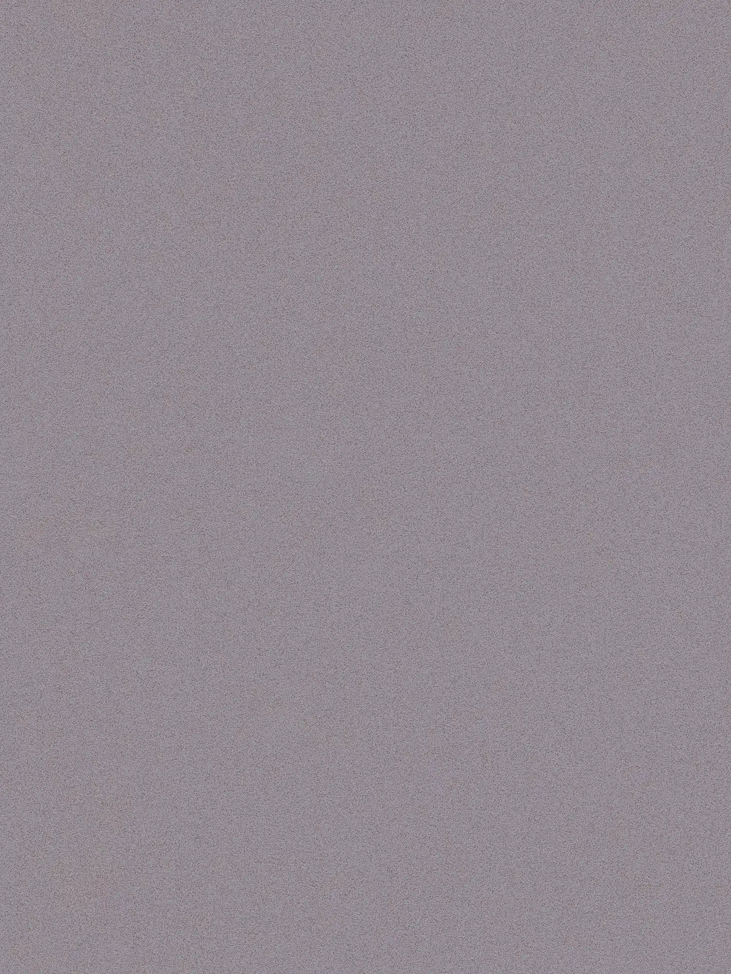 Papier peint gris pigeon & mat avec aspect chiné enduit fin
