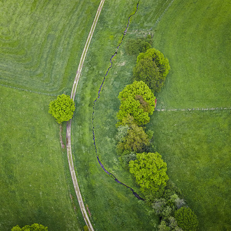         Grass landscape from bird's eye view - field with trees
    