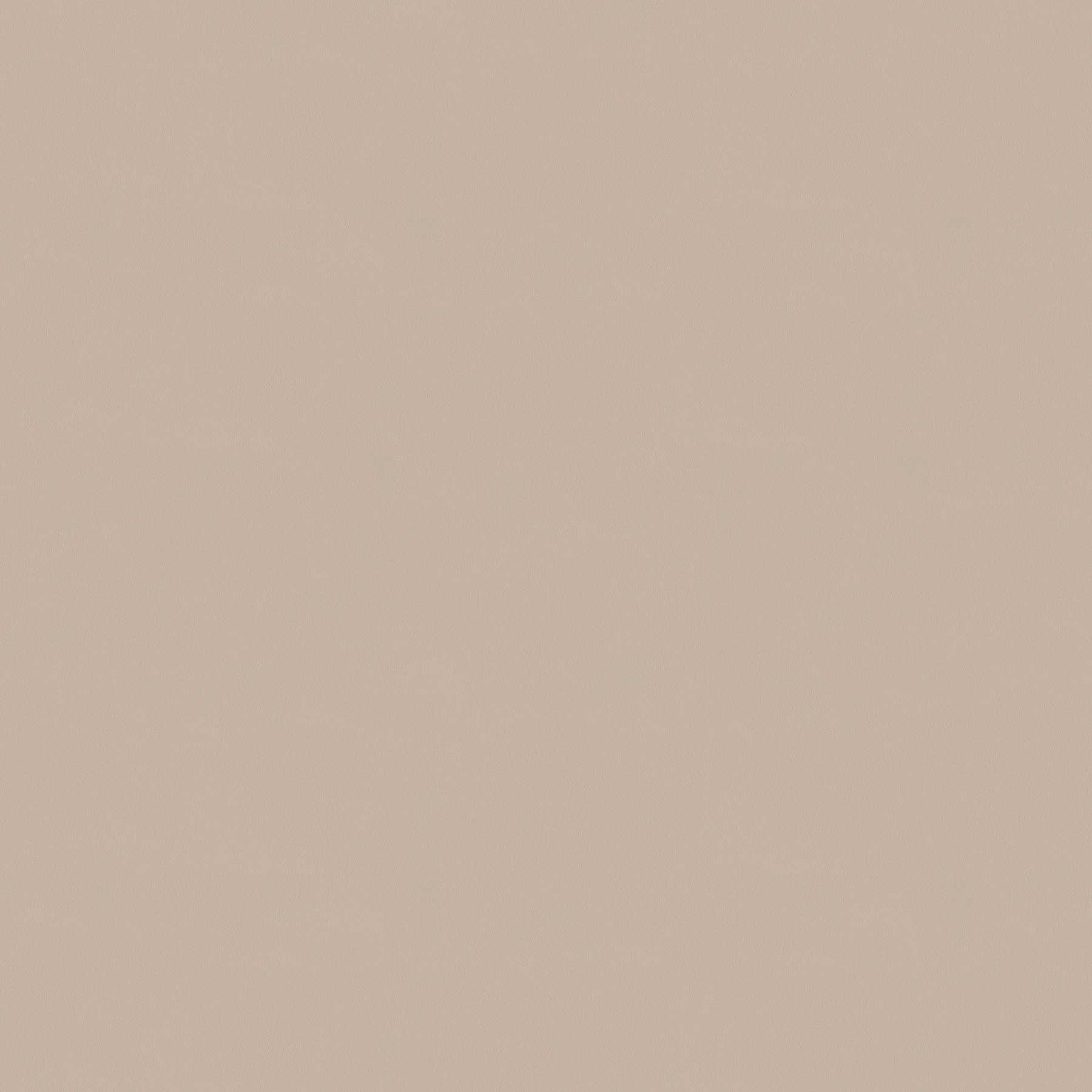 Premium textile-look wallpaper plain & matt - beige
