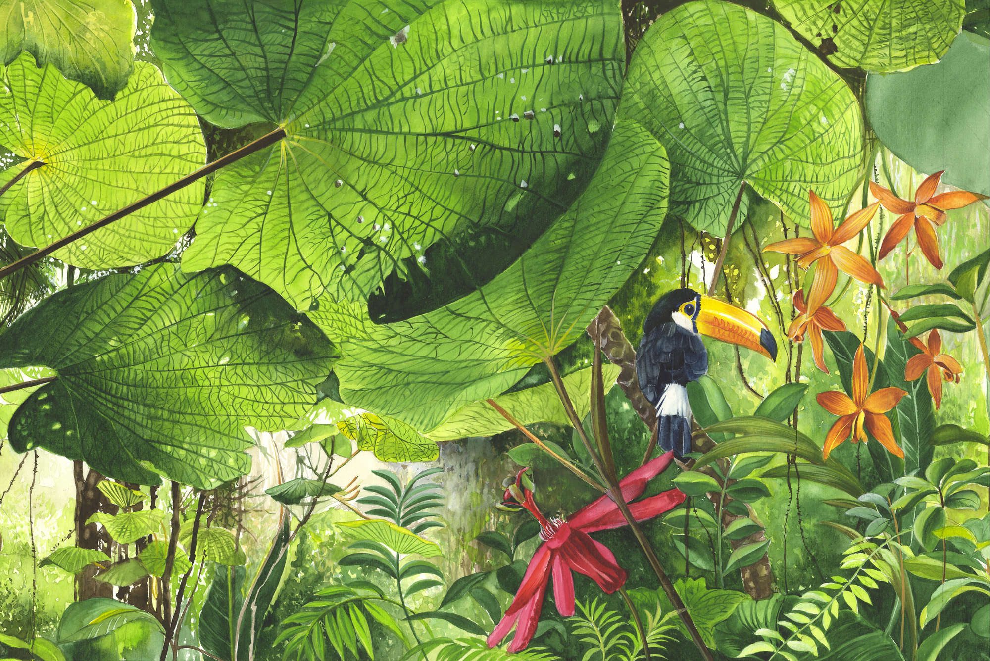             Digital behang jungle met toekan - parelmoer glad vlies
        