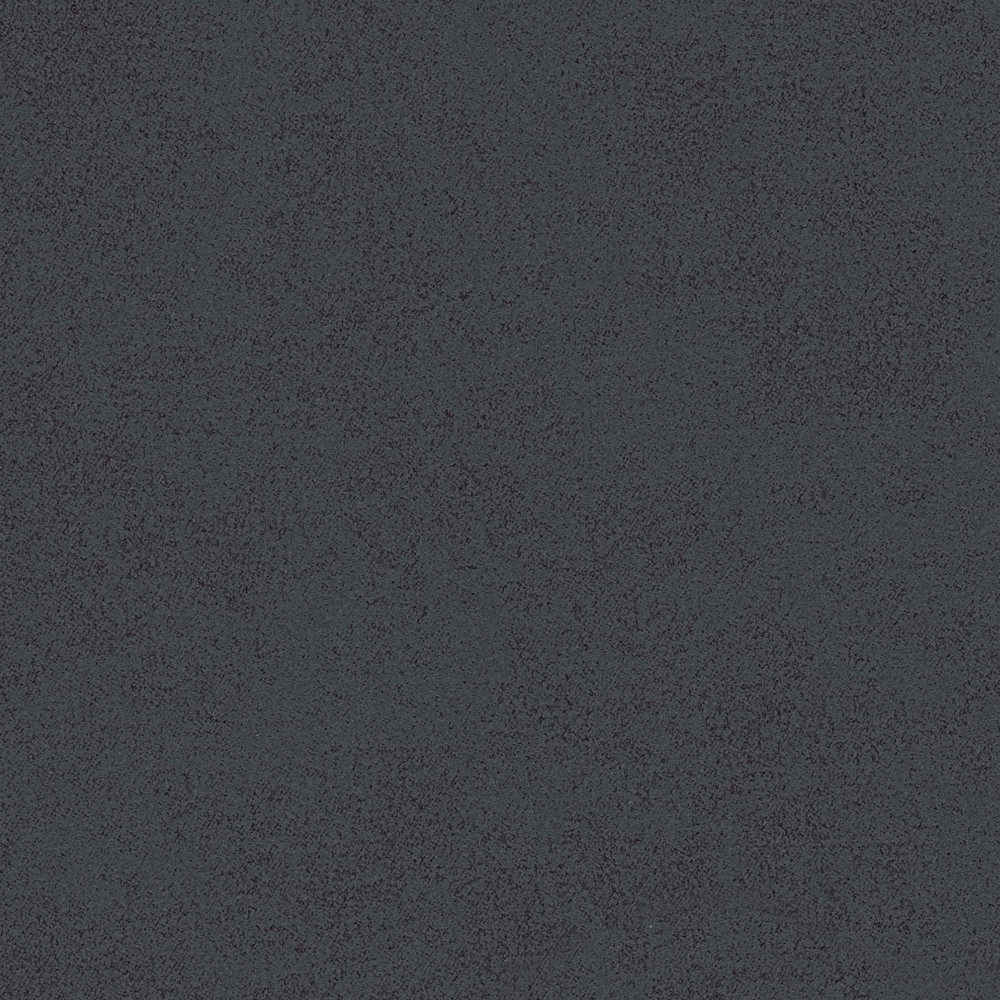             Plain non-woven wallpaper with mottled structure - black
        
