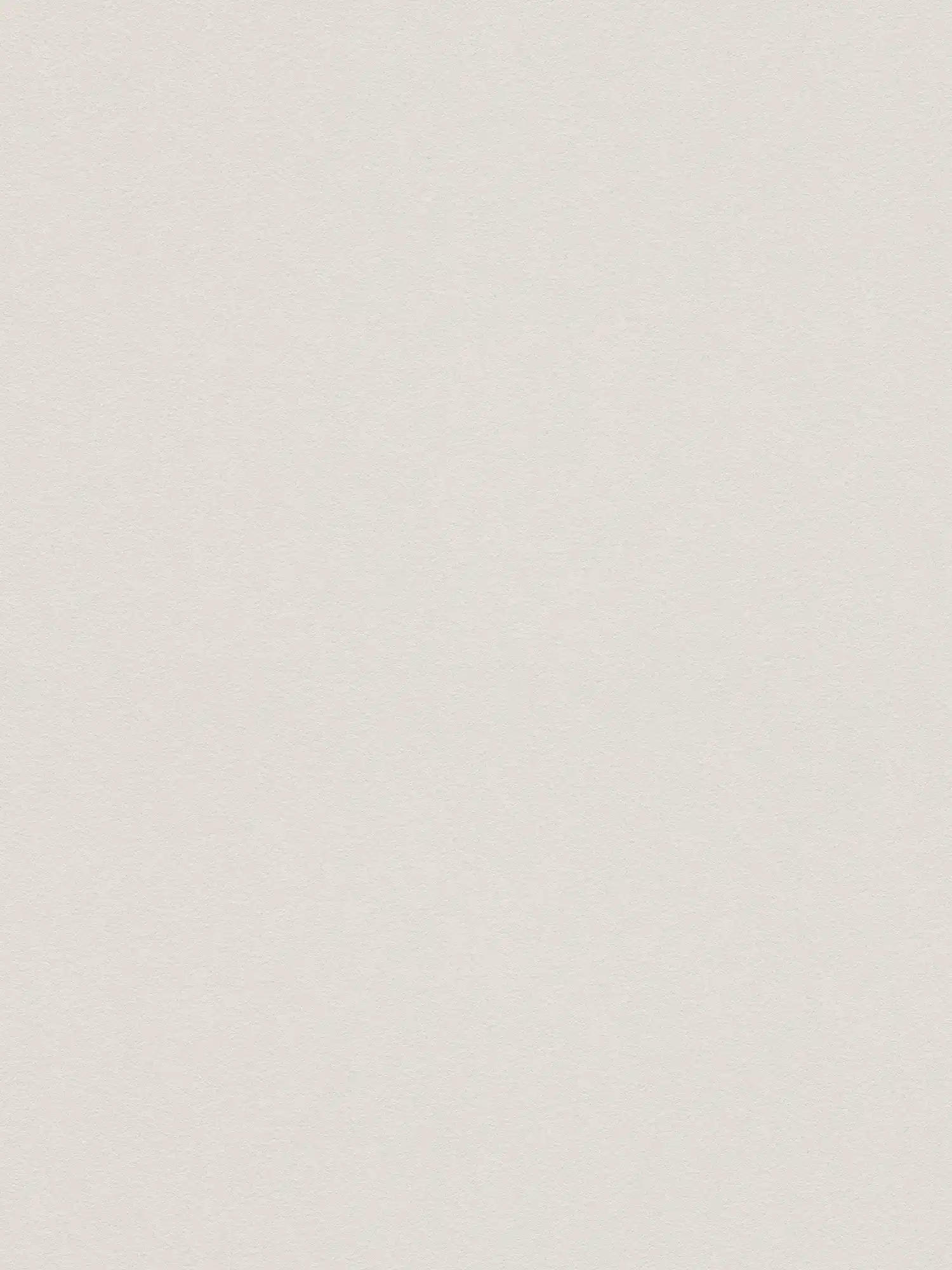 Neutral plain wallpaper with silk matte surface - grey
