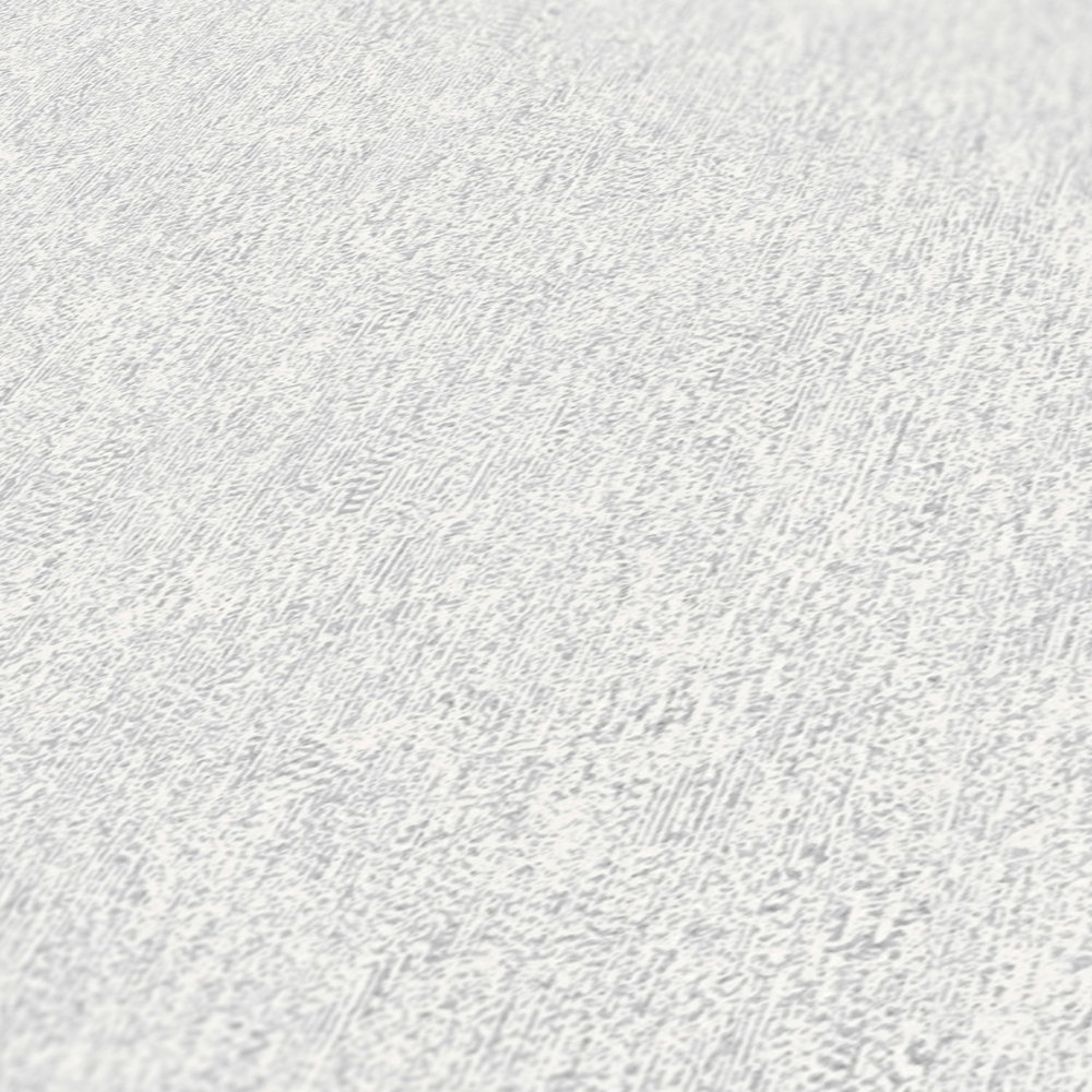             Non-woven wallpaper matt with textured look - light grey, silver
        