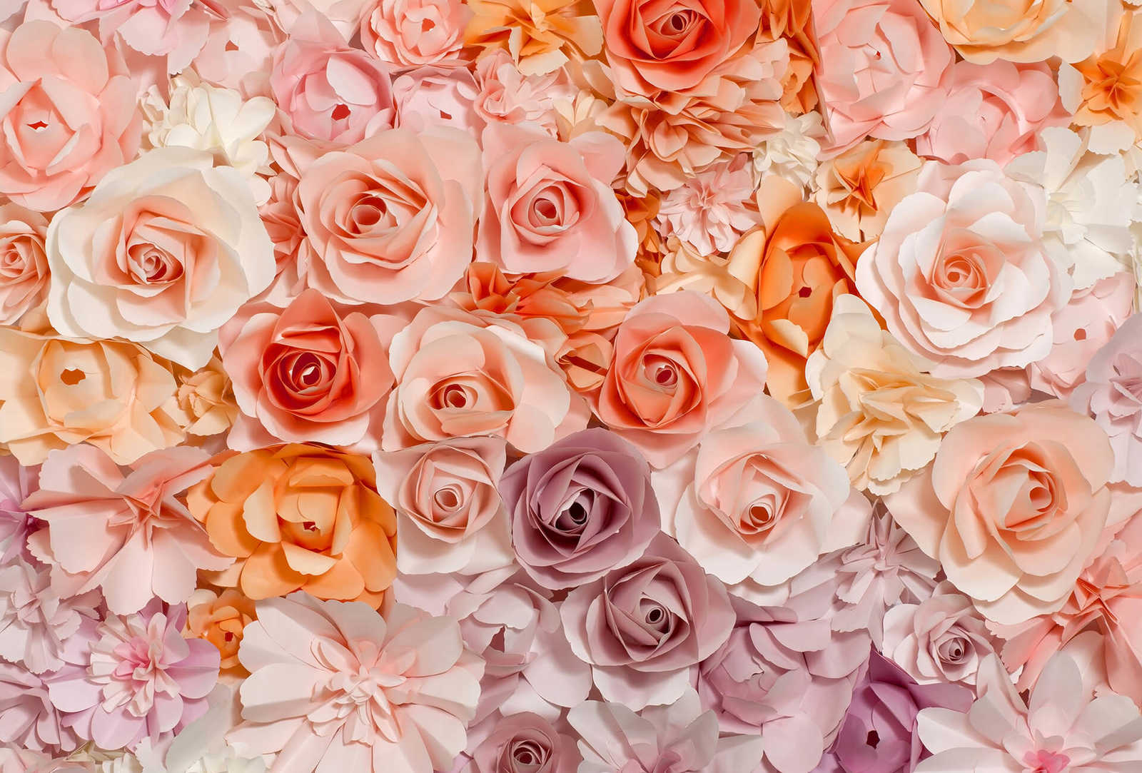 Papel pintado de rosas con motivos florales en 3D - rosa, blanco, naranja
