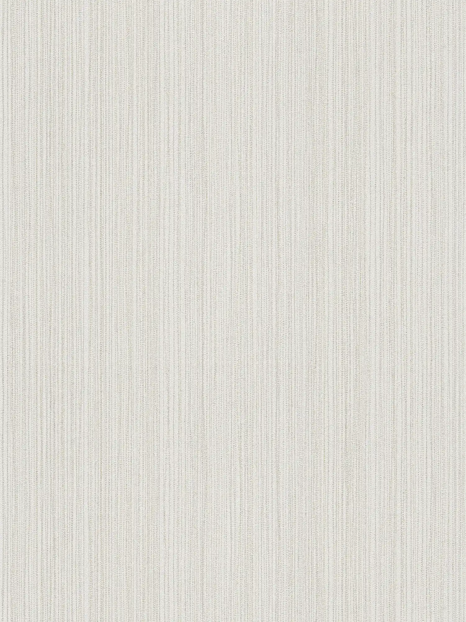 Light grey wallpaper with line pattern - metallic, grey
