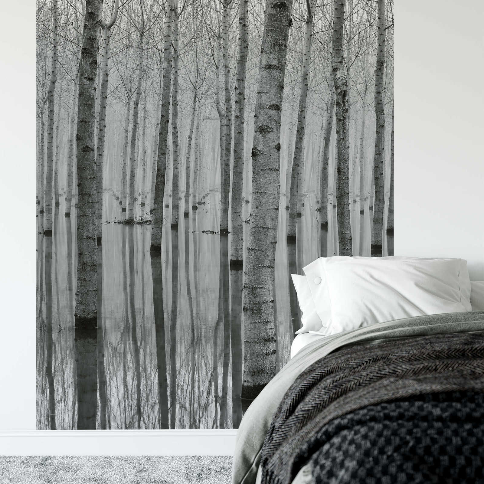             Papier peint panoramique Forêt de bouleaux dans l'eau - noir, blanc, gris
        