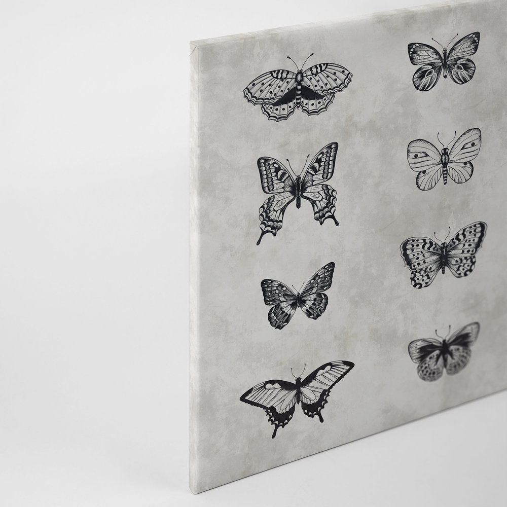             Pittura su tela Butterfly Disegni in bianco e nero - 0,90 m x 0,60 m
        