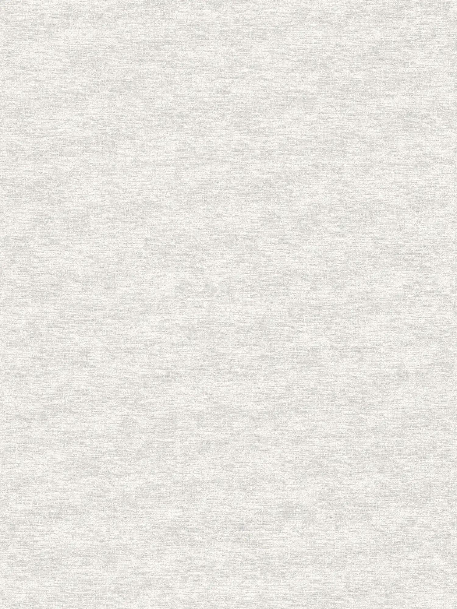 papier peint en papier uni dans une teinte simple - gris clair, crème
