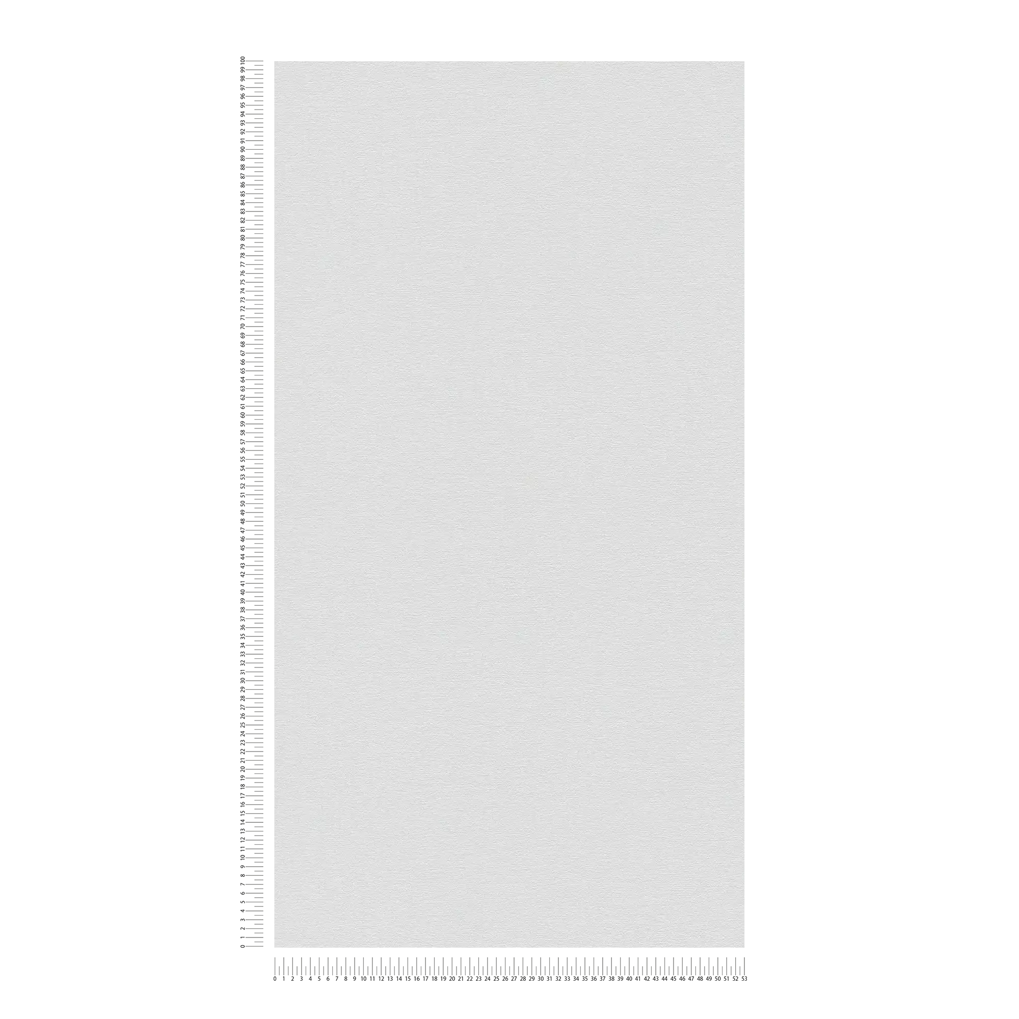             papier peint en papier uni légèrement structuré, aspect mat - blanc
        