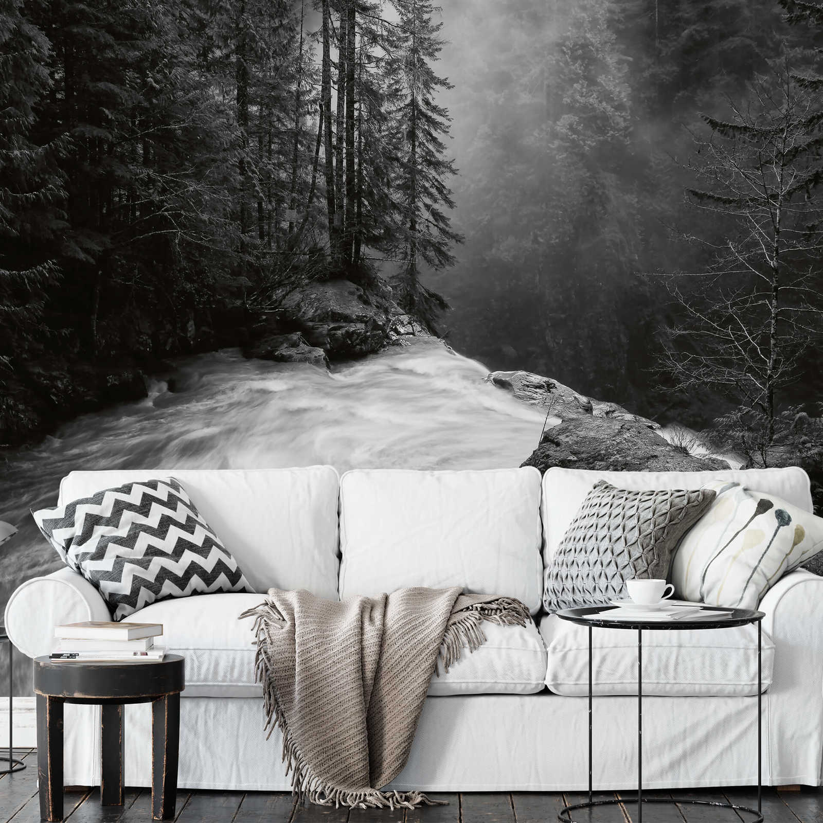             Fotomurali Foresta con cascata - Nero, bianco, grigio
        