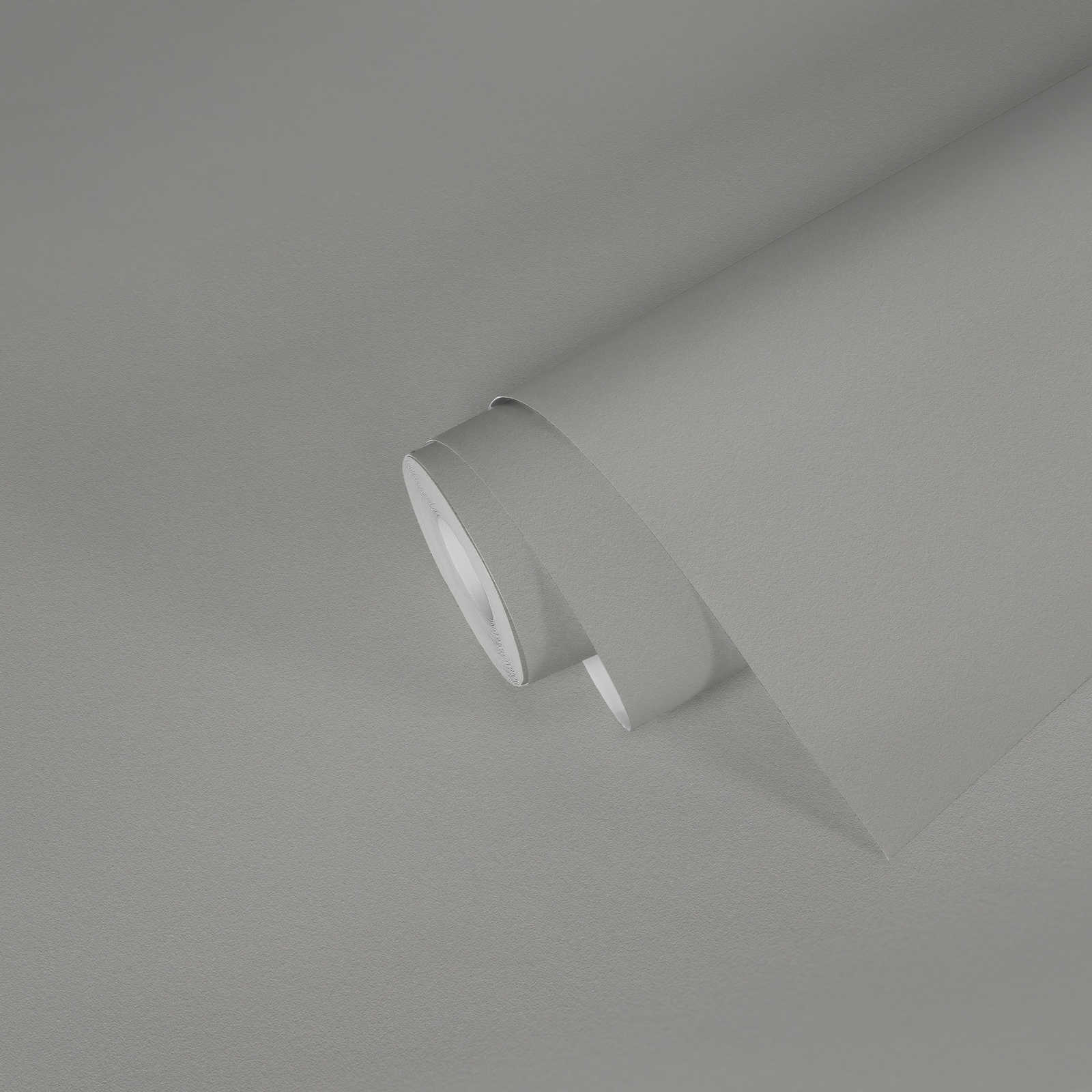             Papier peint gris uni avec texture de surface mate
        
