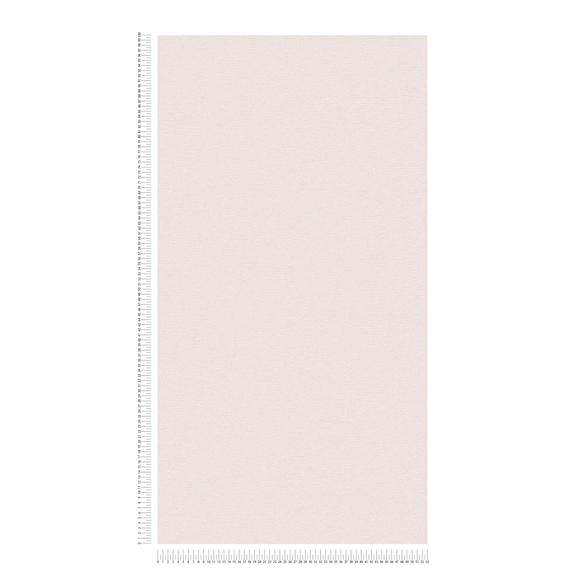             Single-coloured non-woven wallpaper in a delicate shade - light pink
        