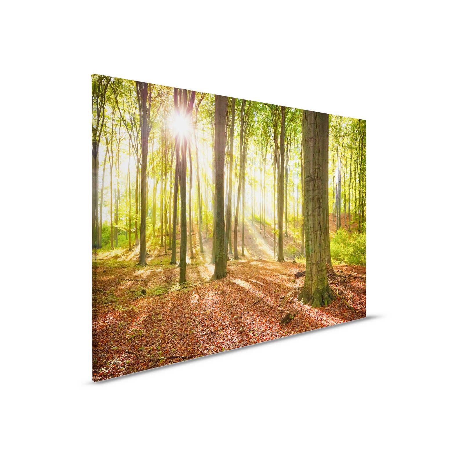 Pittura su tela della foresta decidua Paesaggio mattutino - 0,90 m x 0,60 m
