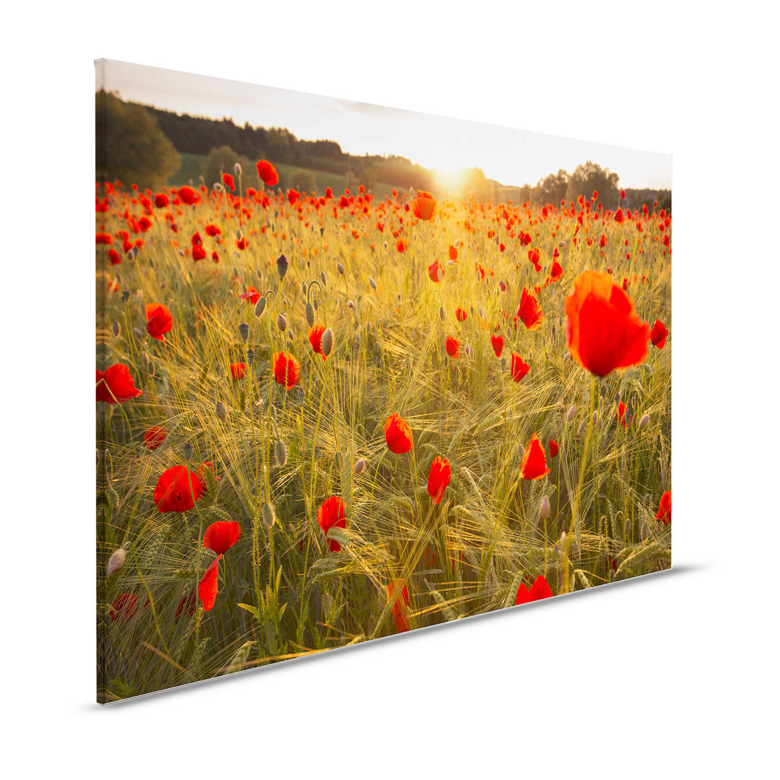 Poppy Meadow Canvas Painting at Sunrise - 1.20 m x 0.80 m
