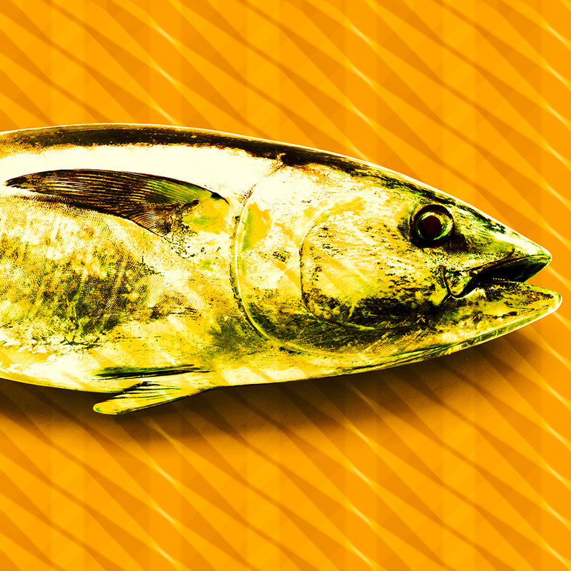 Photo wallpaper fish, pop art wallpaper with tuna - orange, green, yellow
