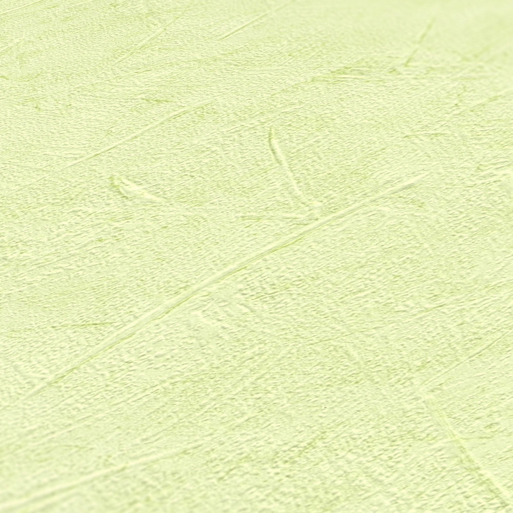             Papel pintado de escayola verde claro con óptica de escayola - verde
        